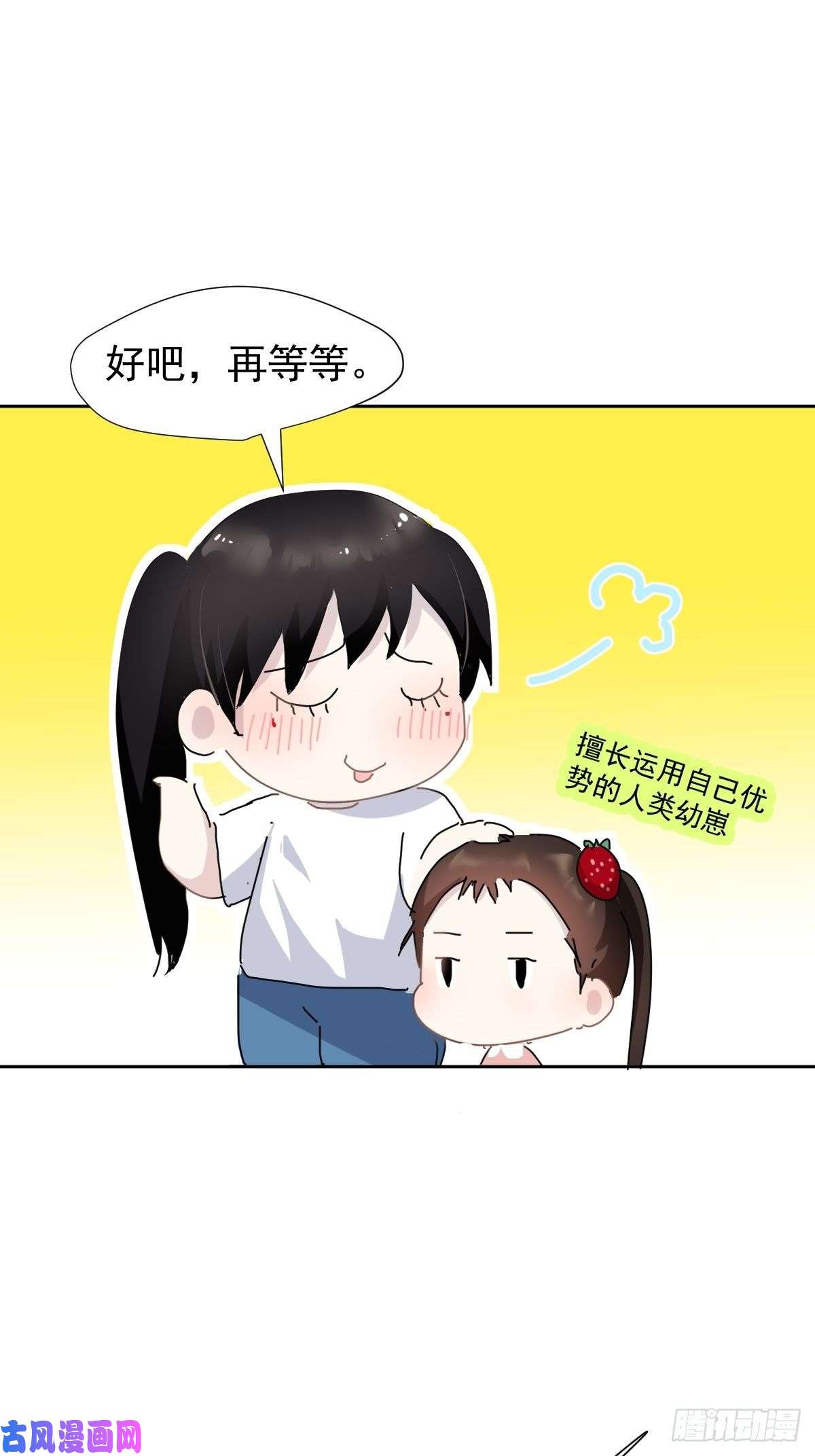 黑背信天翁妈妈很快就要来了