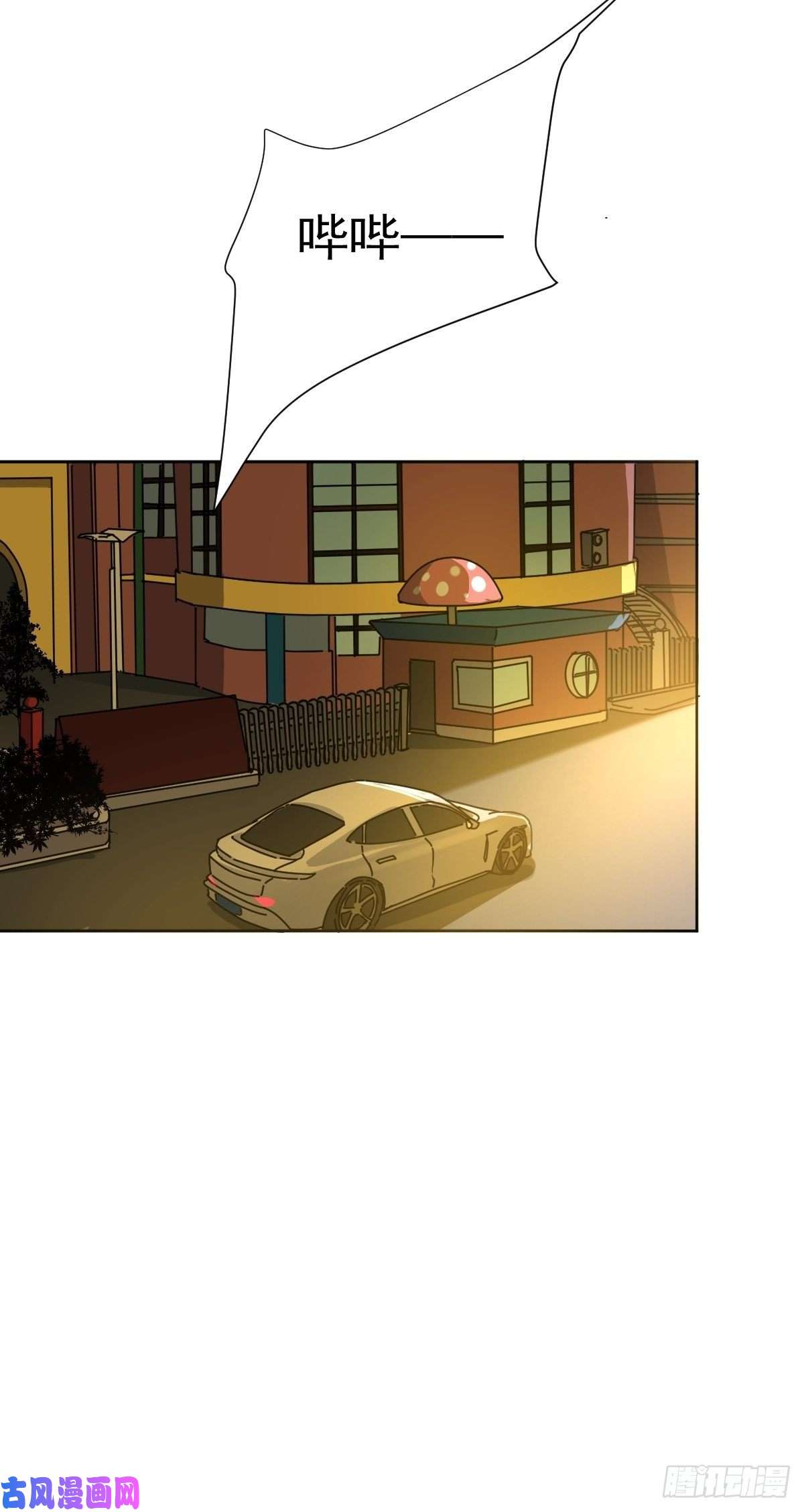 黑背信天翁妈妈很快就要来了