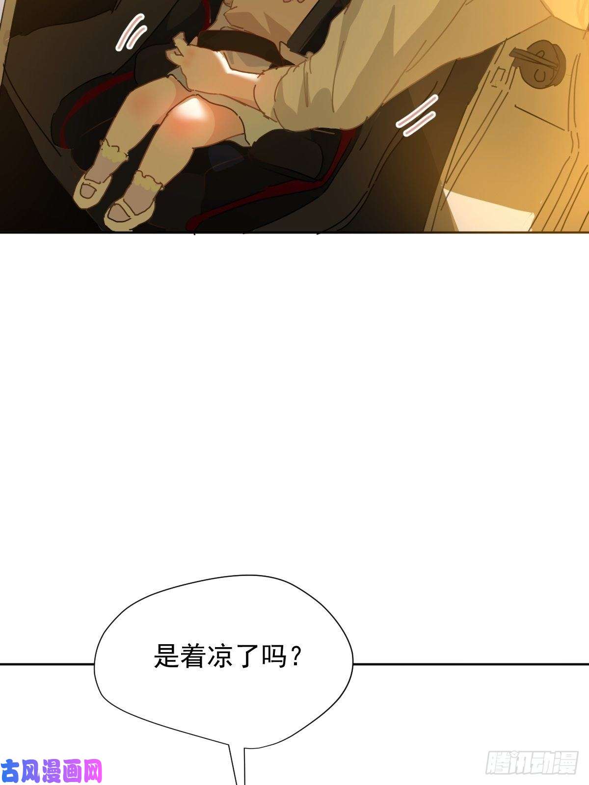 黑背信天翁妈妈很快就要来了