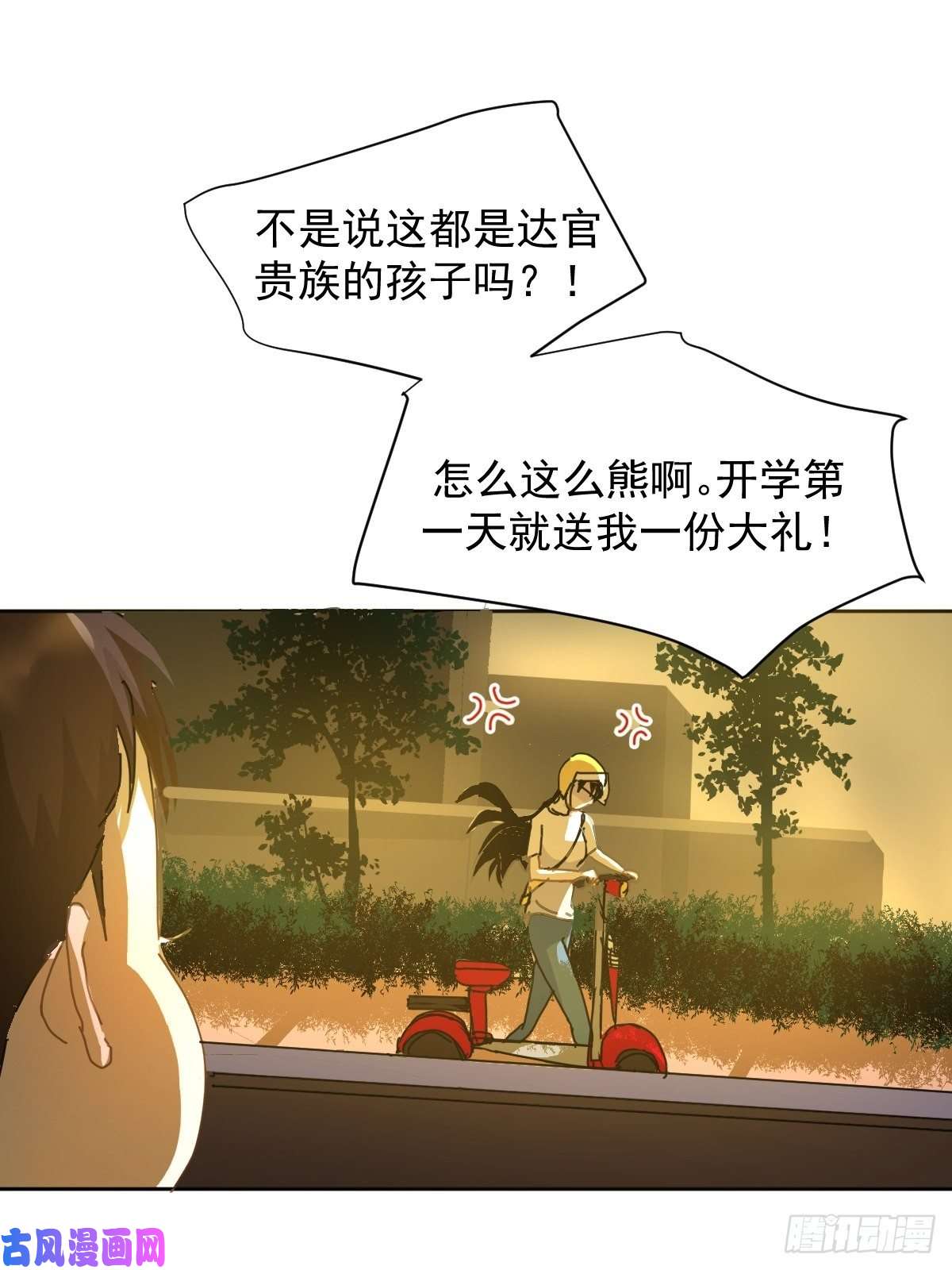 黑背信天翁妈妈很快就要来了