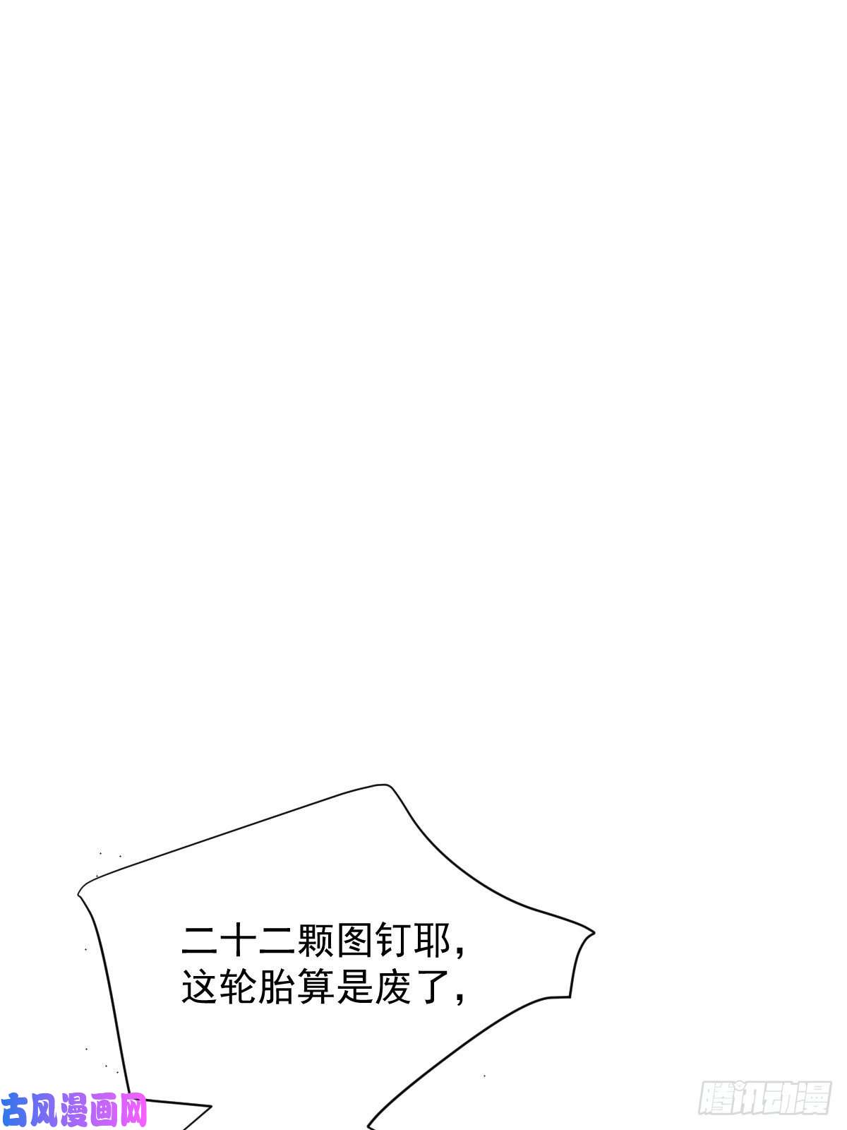 黑背信天翁妈妈很快就要来了