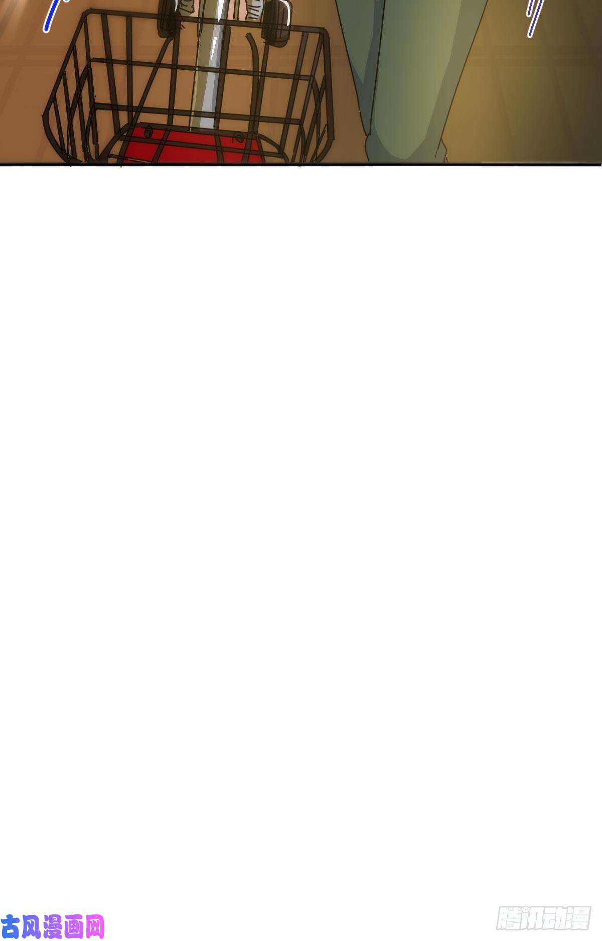 黑背信天翁妈妈很快就要来了