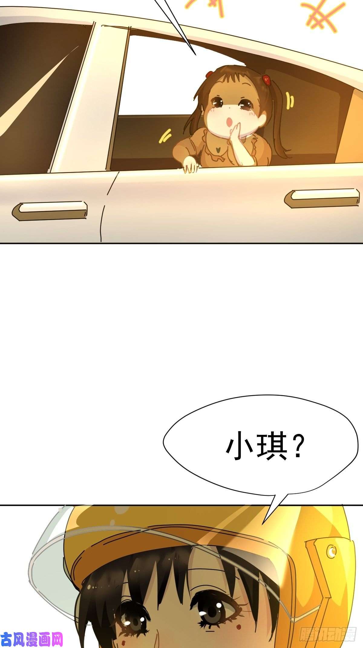 黑背信天翁妈妈很快就要来了