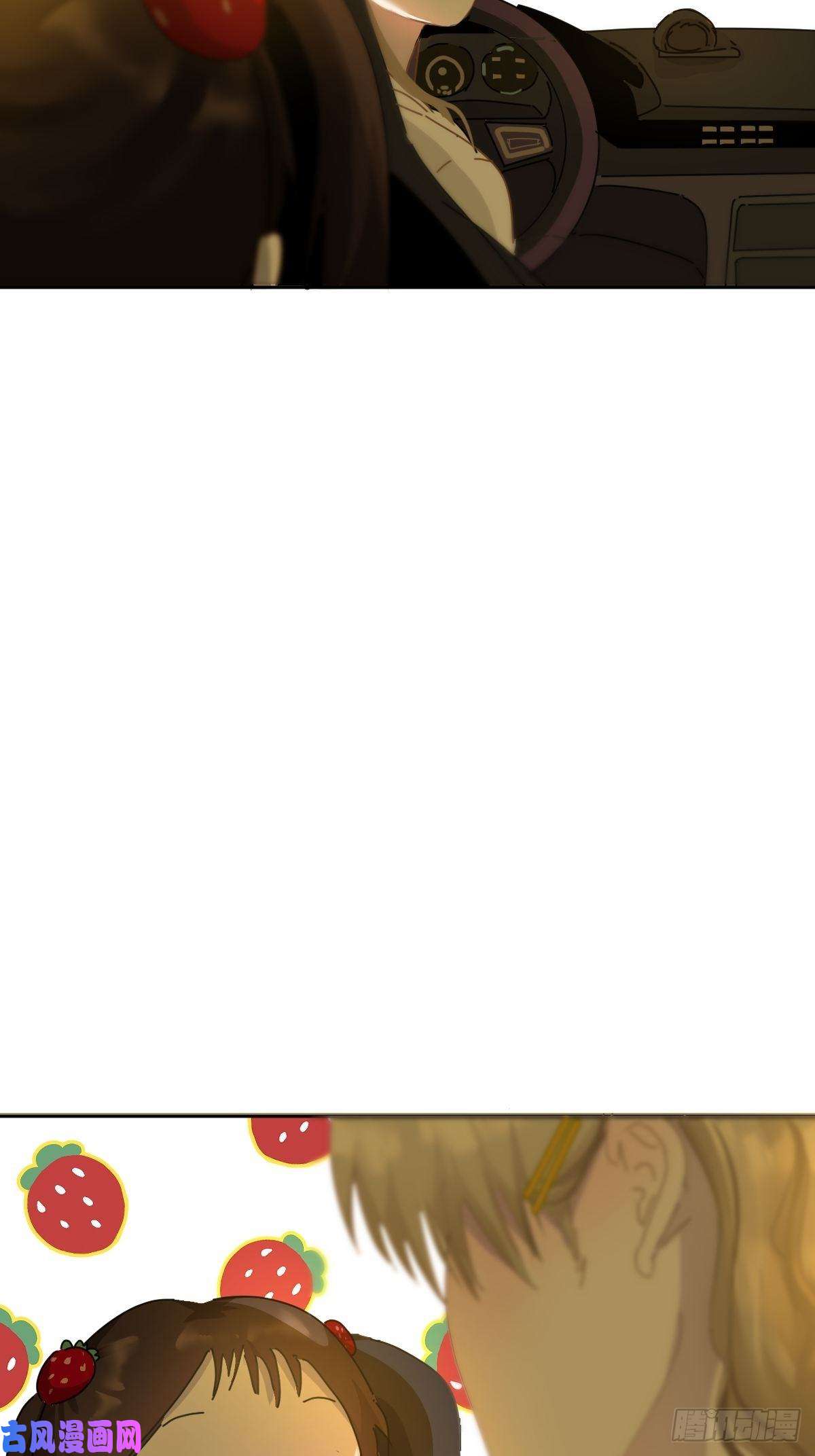 黑背信天翁妈妈很快就要来了