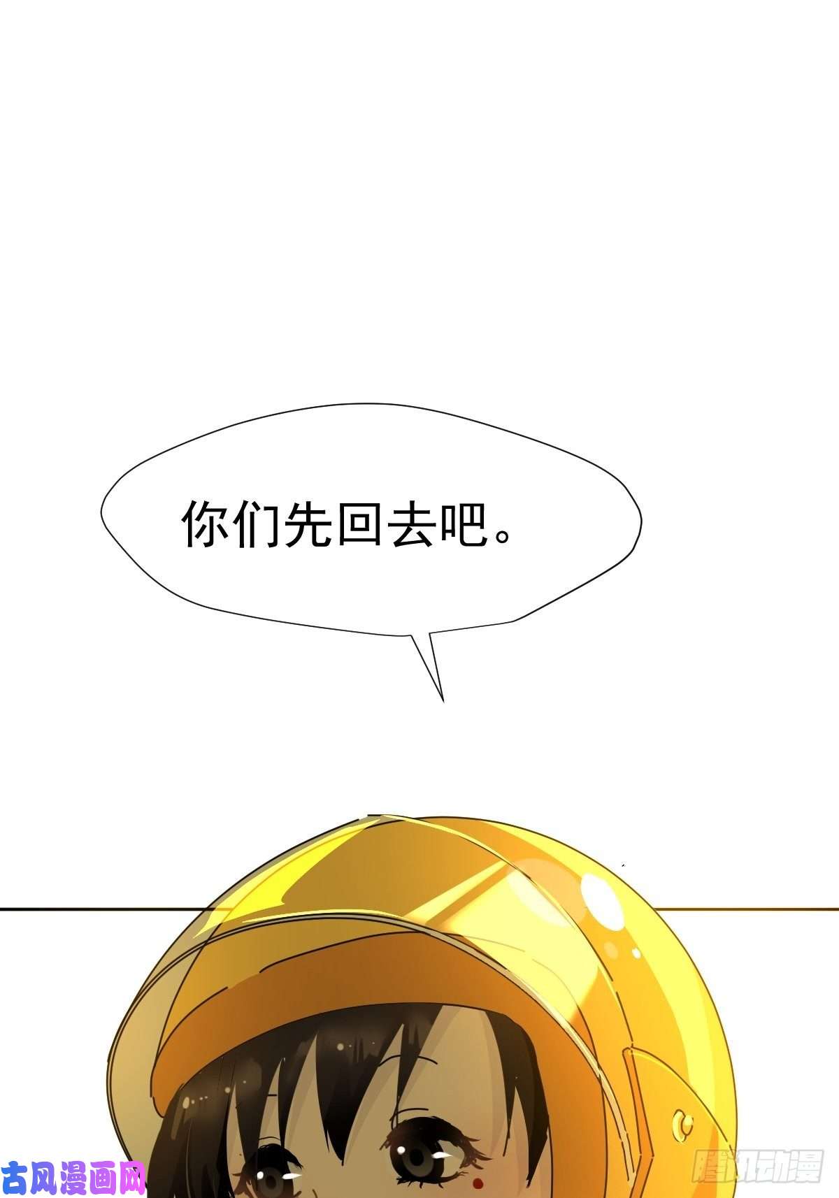 黑背信天翁妈妈很快就要来了