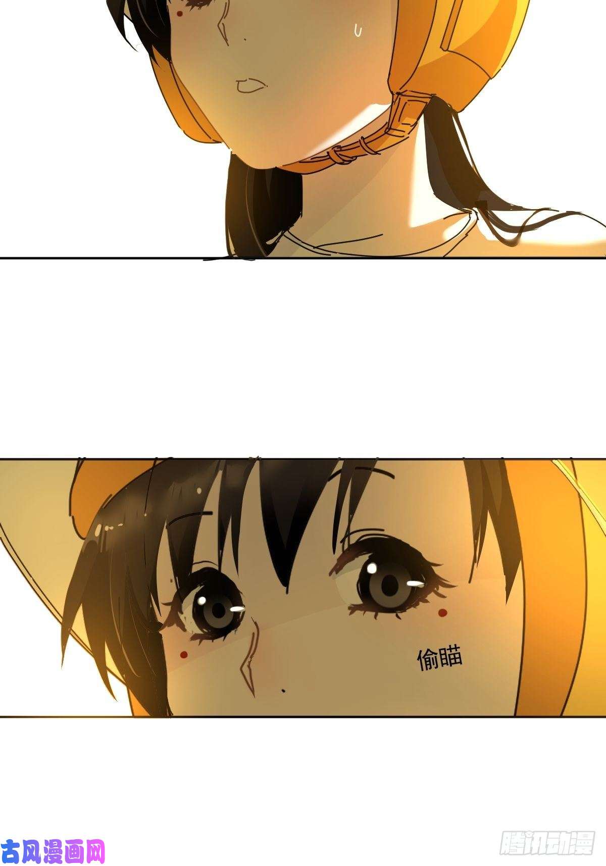 黑背信天翁妈妈很快就要来了