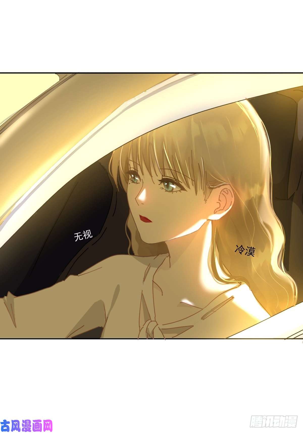 黑背信天翁妈妈很快就要来了