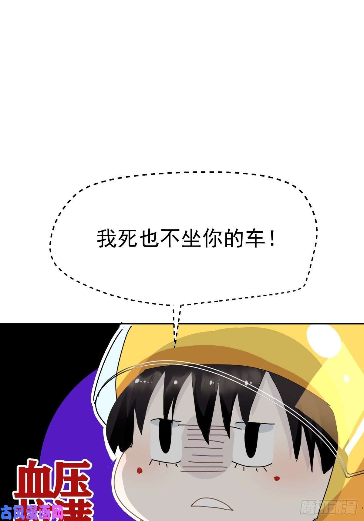 黑背信天翁妈妈很快就要来了