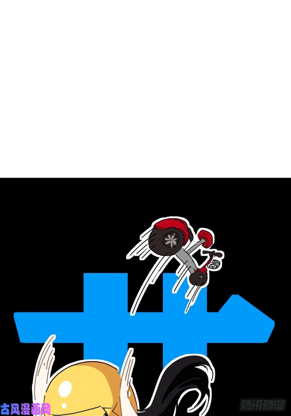 黑背信天翁妈妈很快就要来了