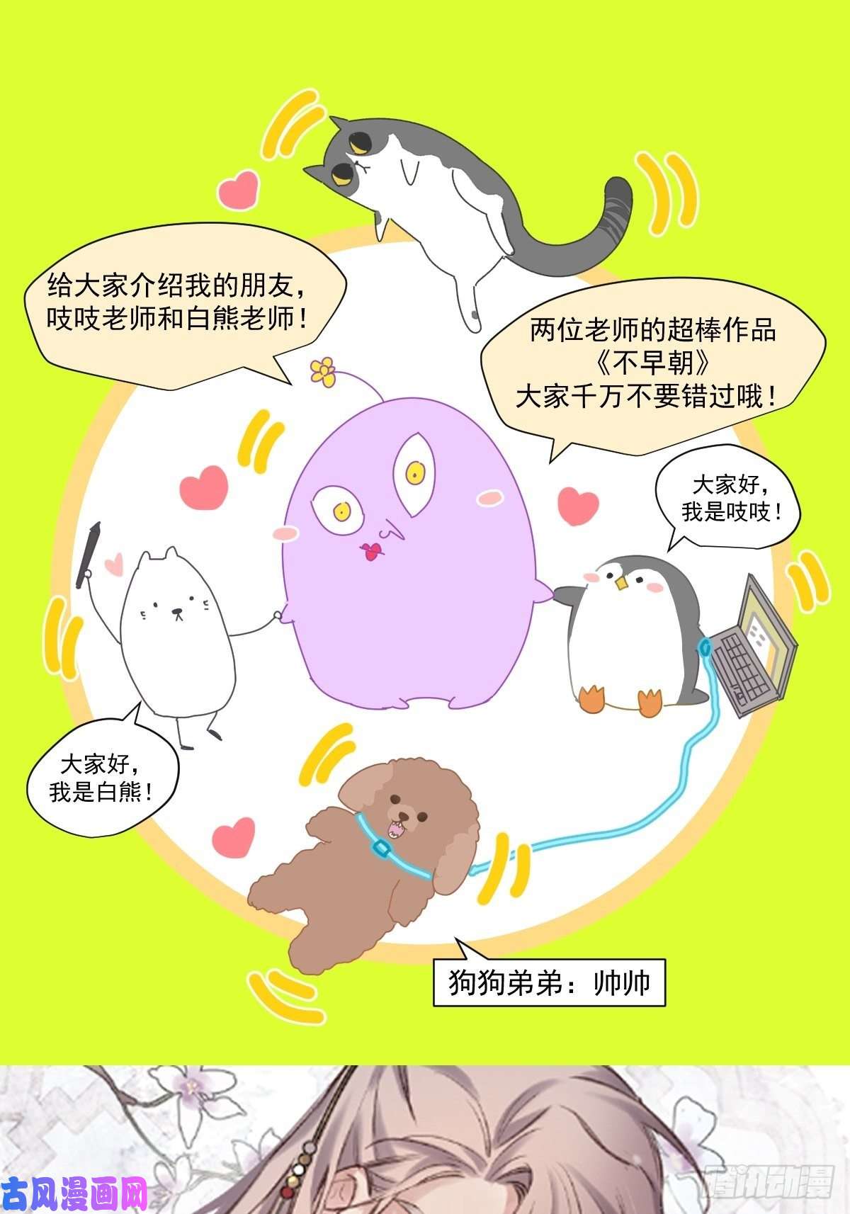 黑背信天翁妈妈很快就要来了