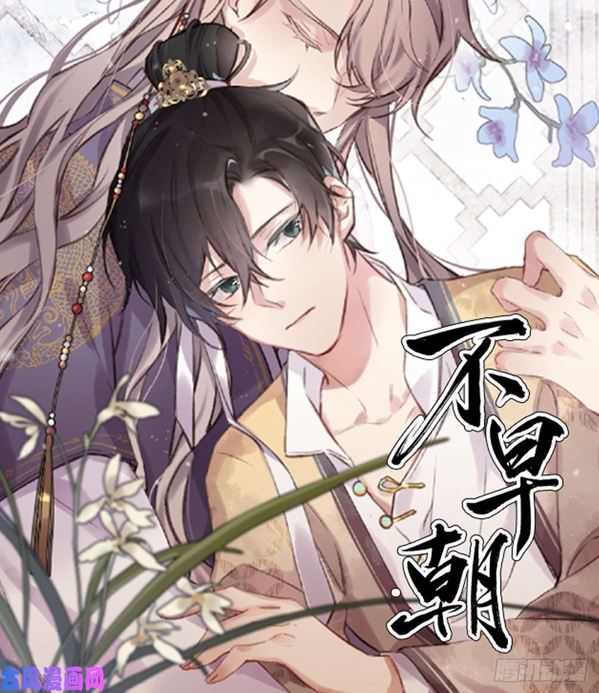 黑背信天翁妈妈很快就要来了