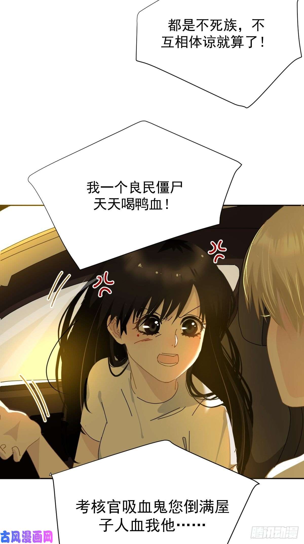 黑背信天翁僵尸和吸血鬼无法沟通！