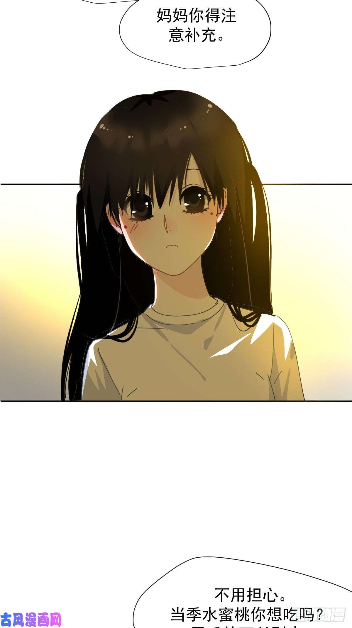 黑背信天翁妈妈你忙你的