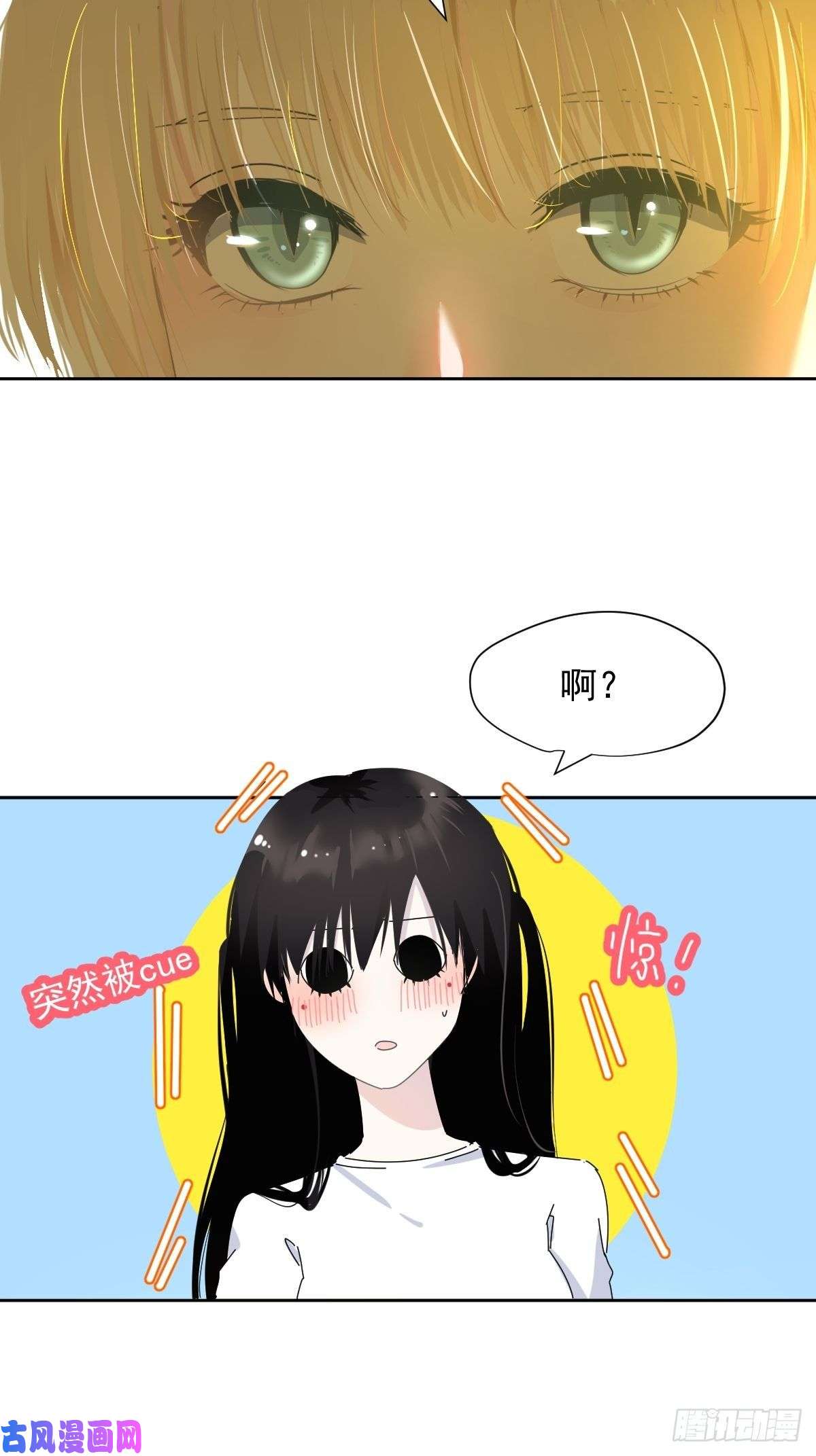 黑背信天翁妈妈你忙你的