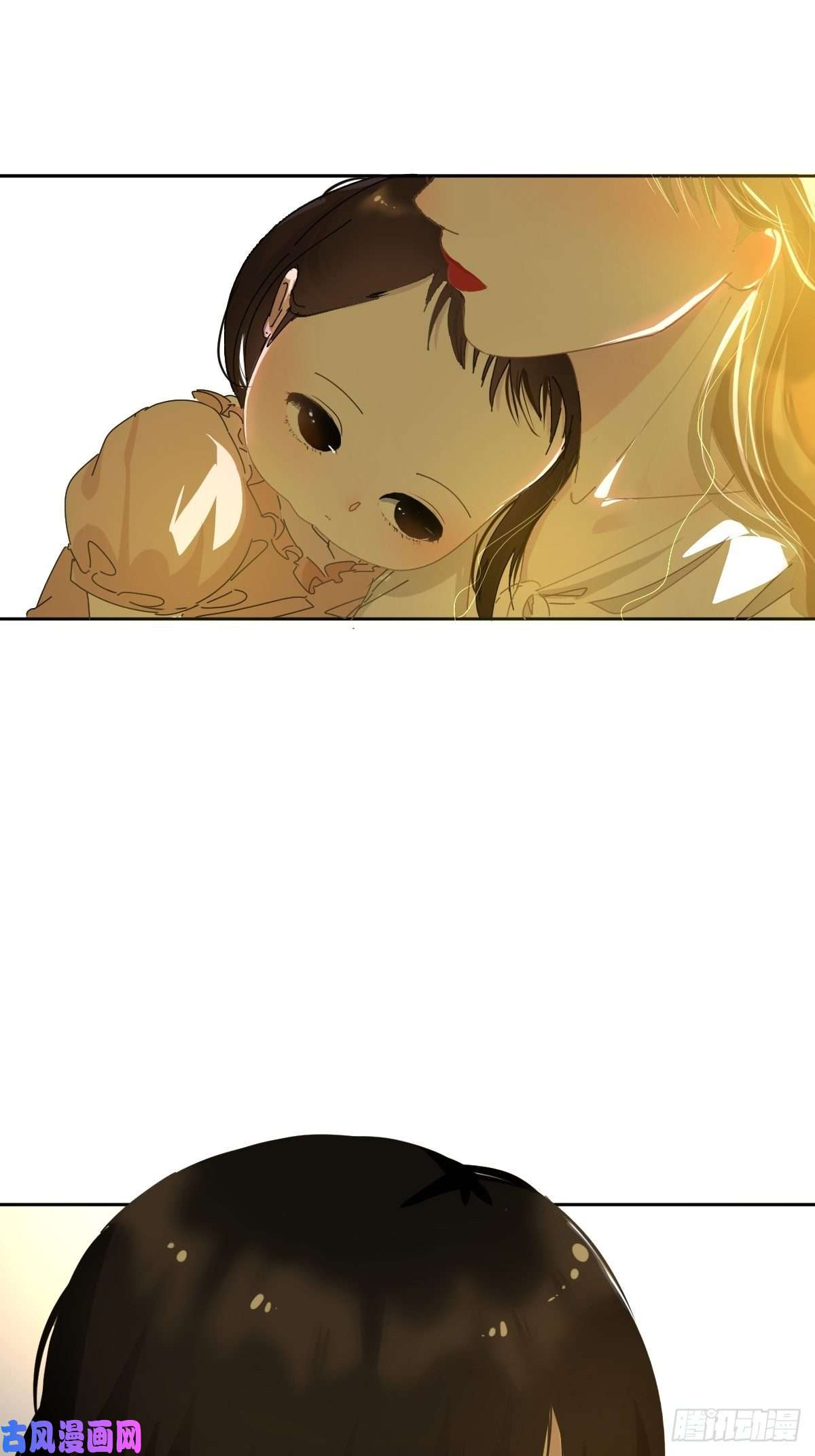 黑背信天翁妈妈你忙你的