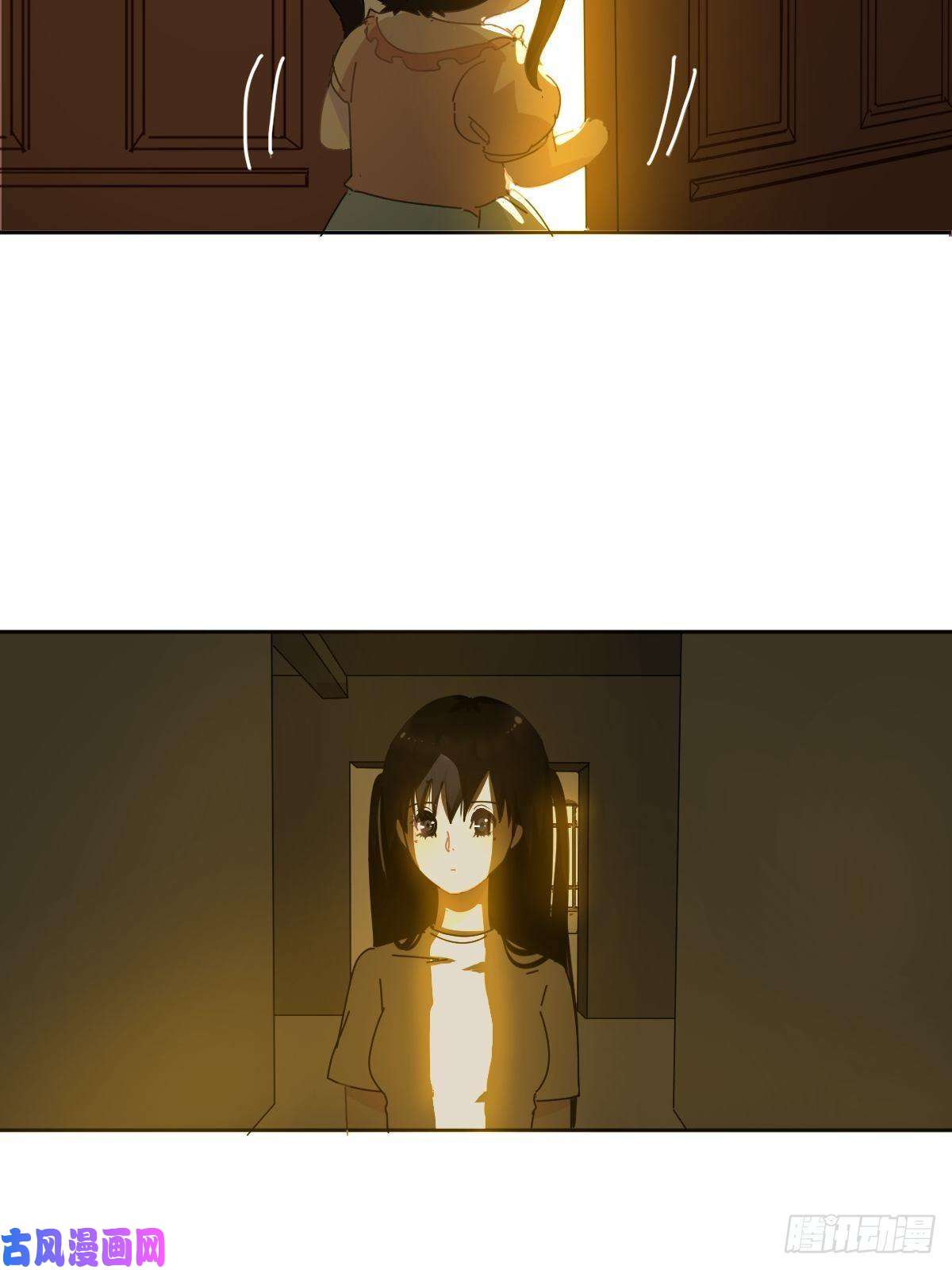 黑背信天翁妈妈你忙你的