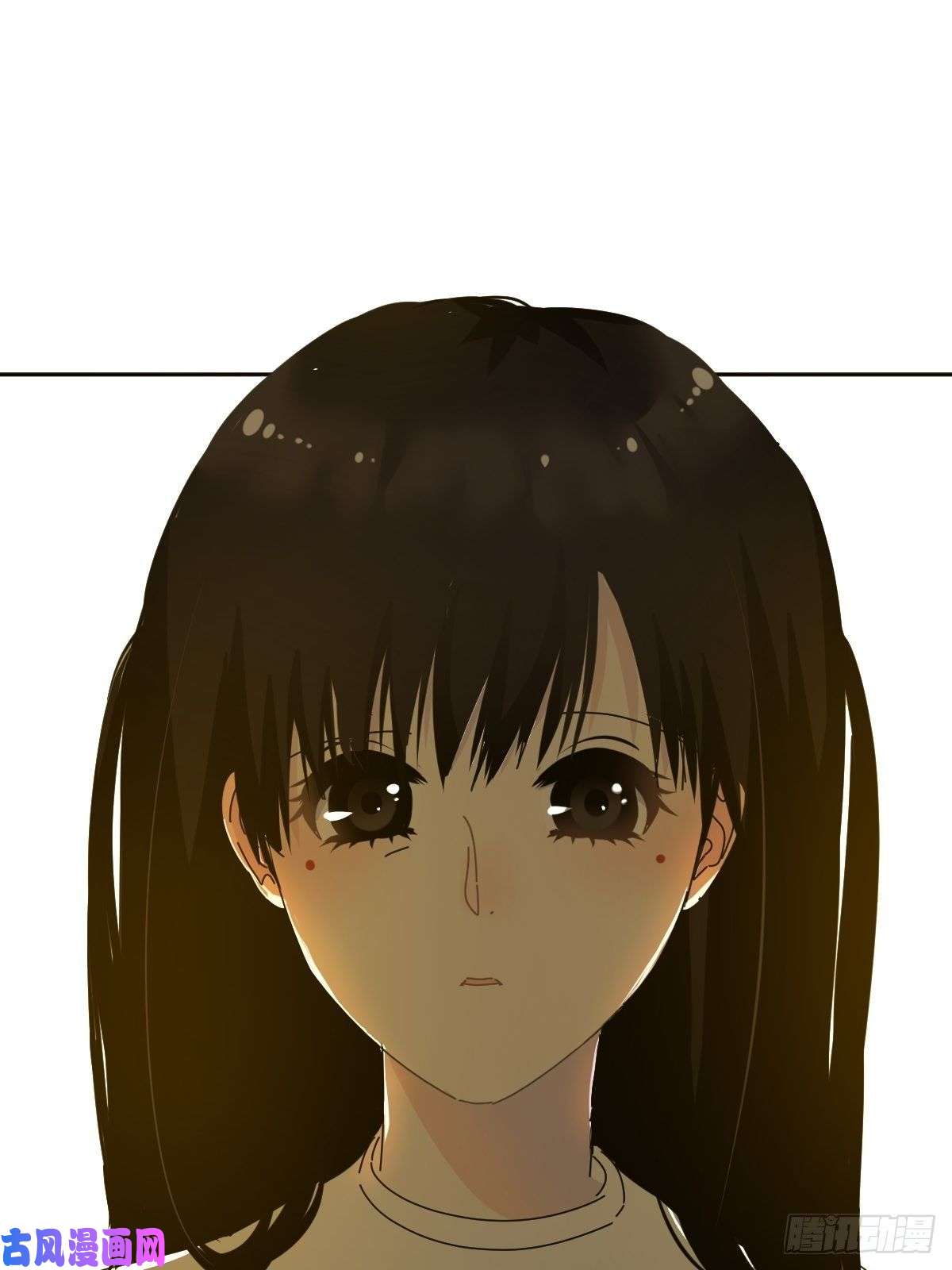 黑背信天翁妈妈你忙你的