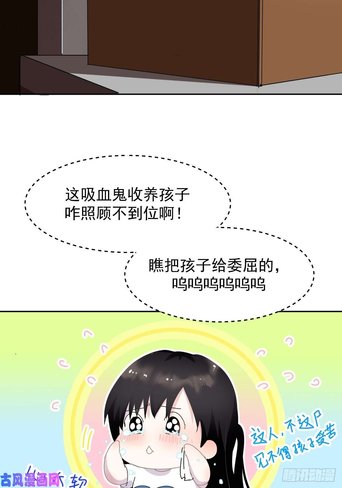 黑背信天翁妈妈你忙你的