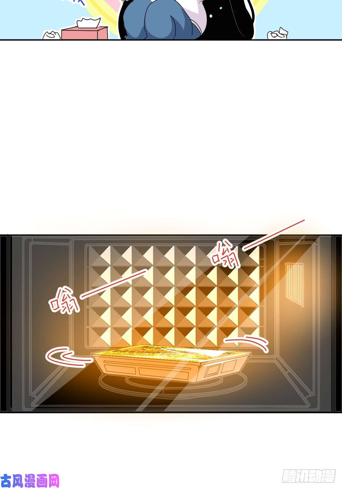 黑背信天翁妈妈你忙你的