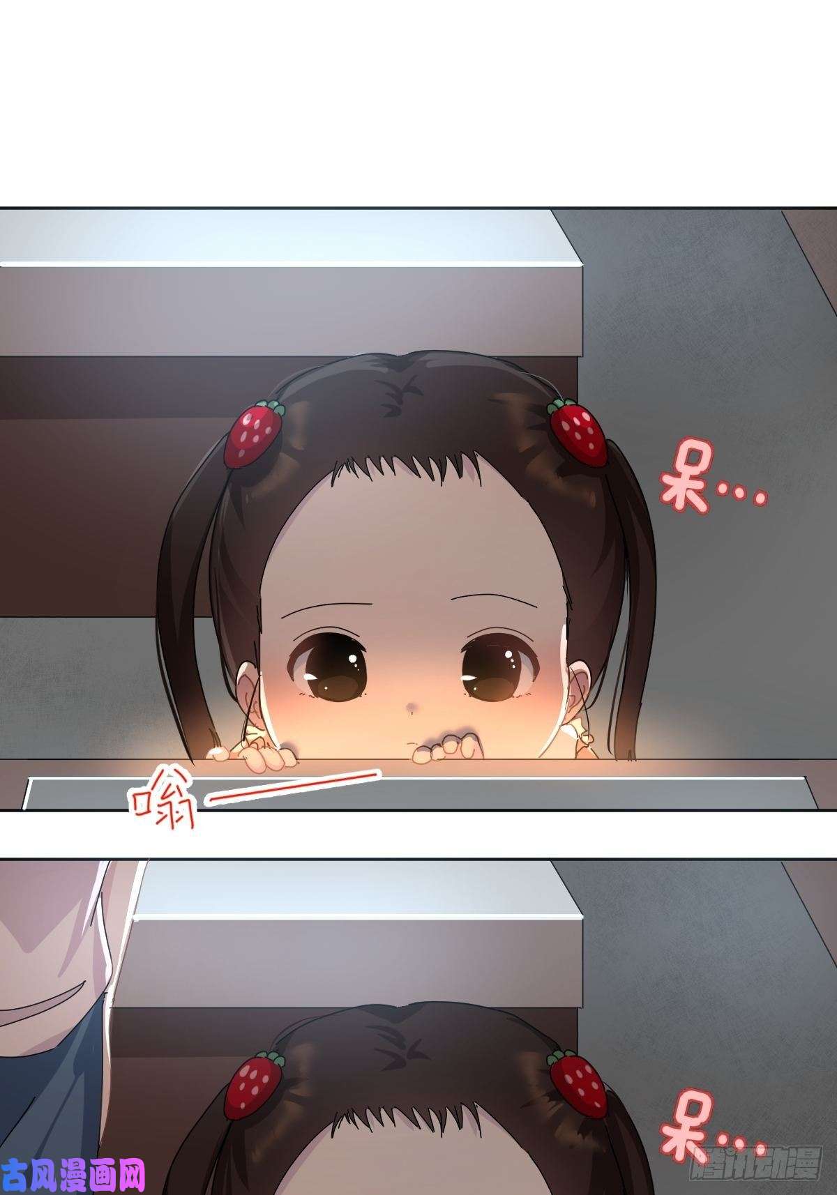 黑背信天翁妈妈你忙你的