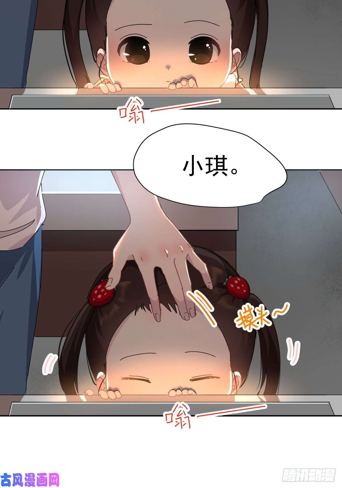 黑背信天翁妈妈你忙你的