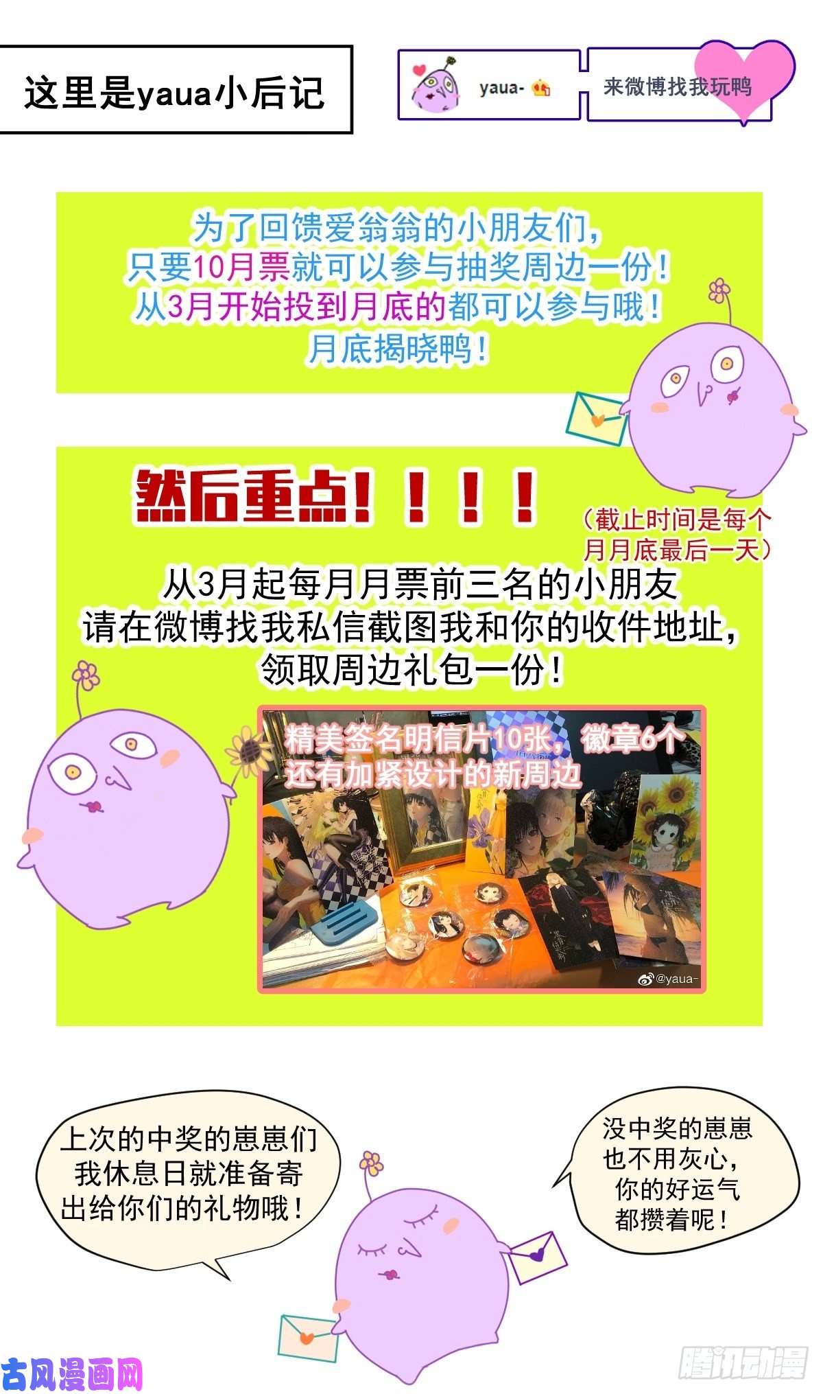 黑背信天翁妈妈你忙你的