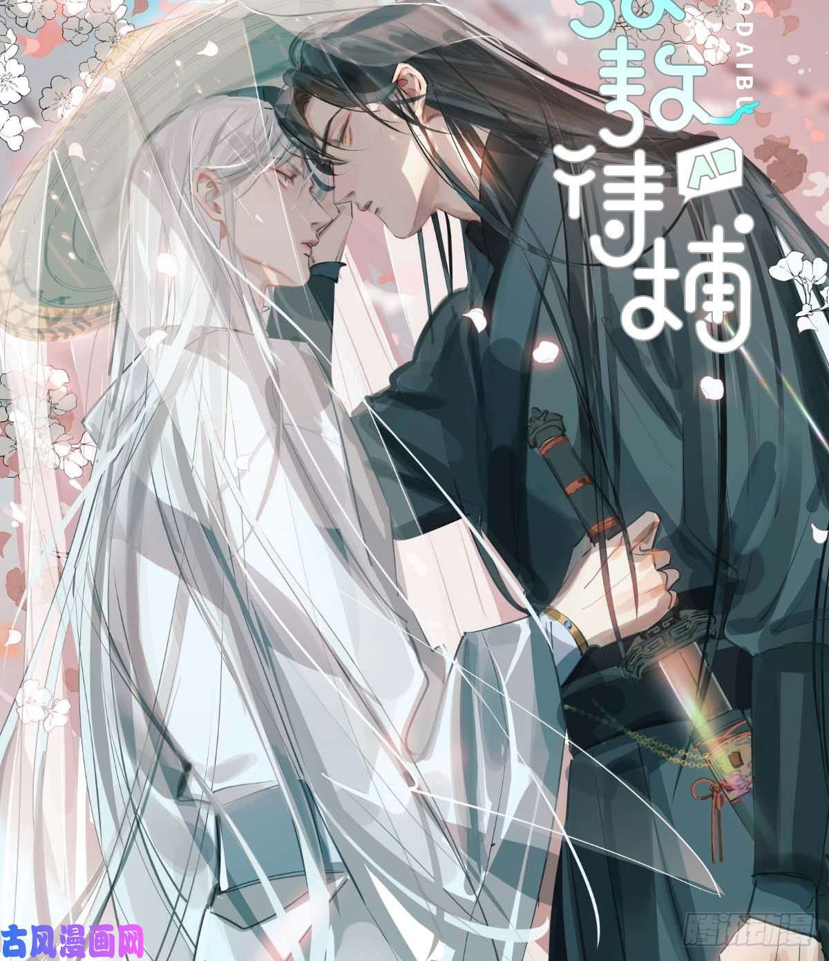 黑背信天翁妈妈你忙你的