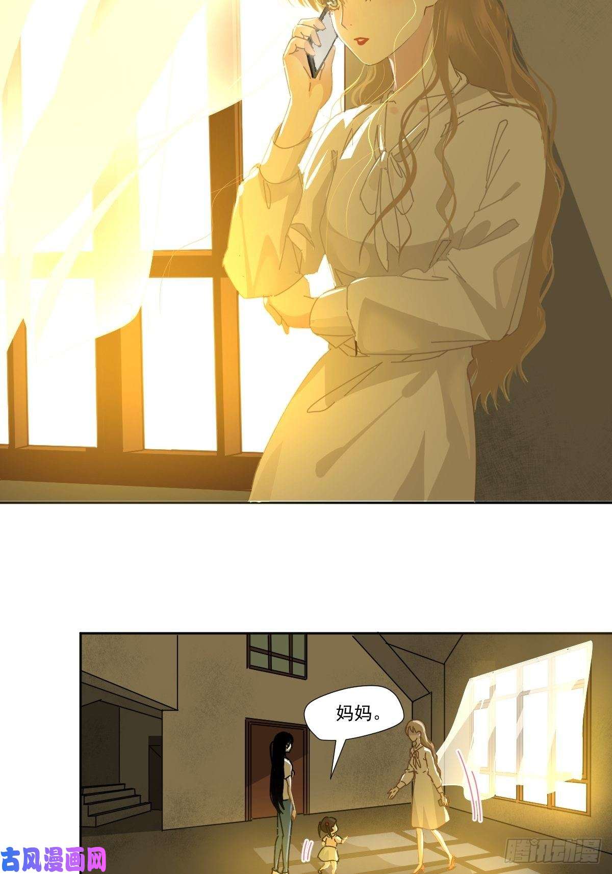 黑背信天翁妈妈你忙你的