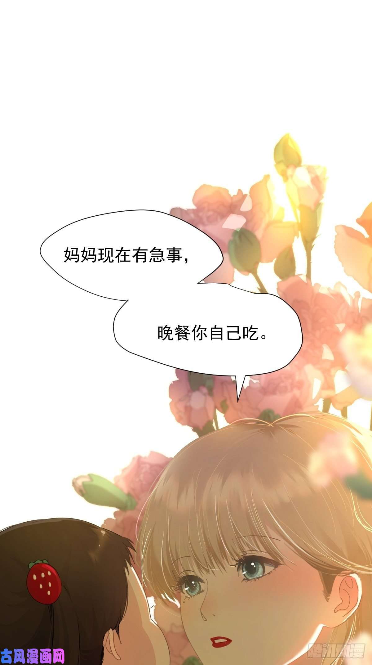 黑背信天翁妈妈你忙你的