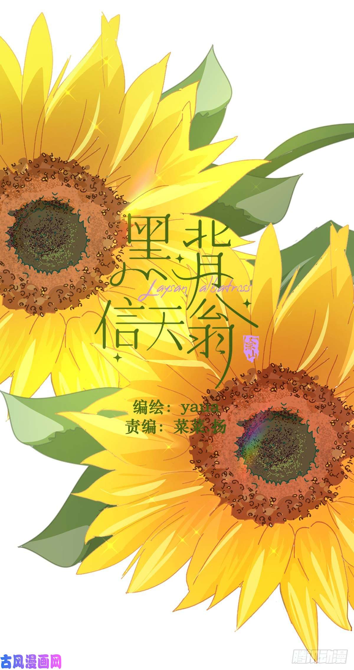 黑背信天翁跟书上说的根本不一样