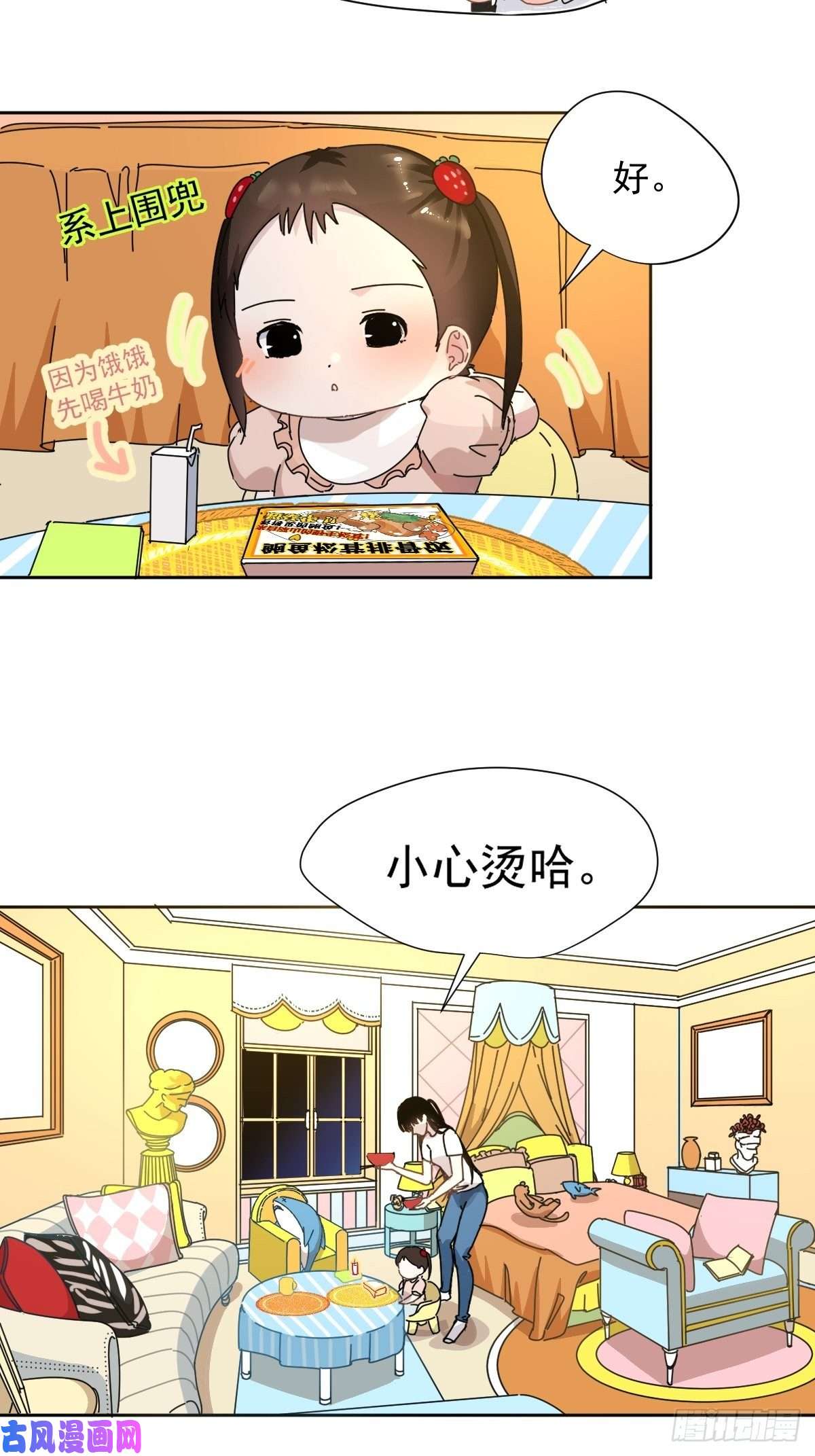 黑背信天翁跟书上说的根本不一样