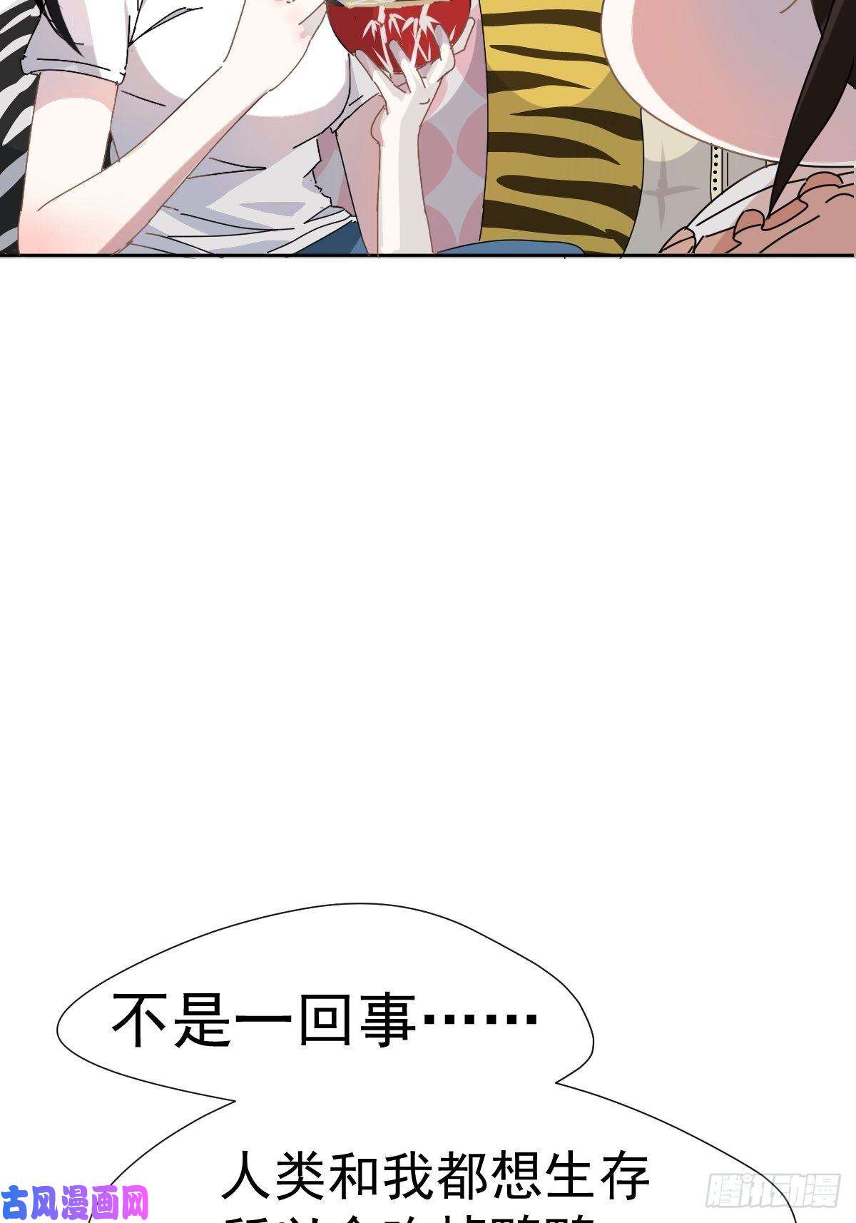 黑背信天翁跟书上说的根本不一样