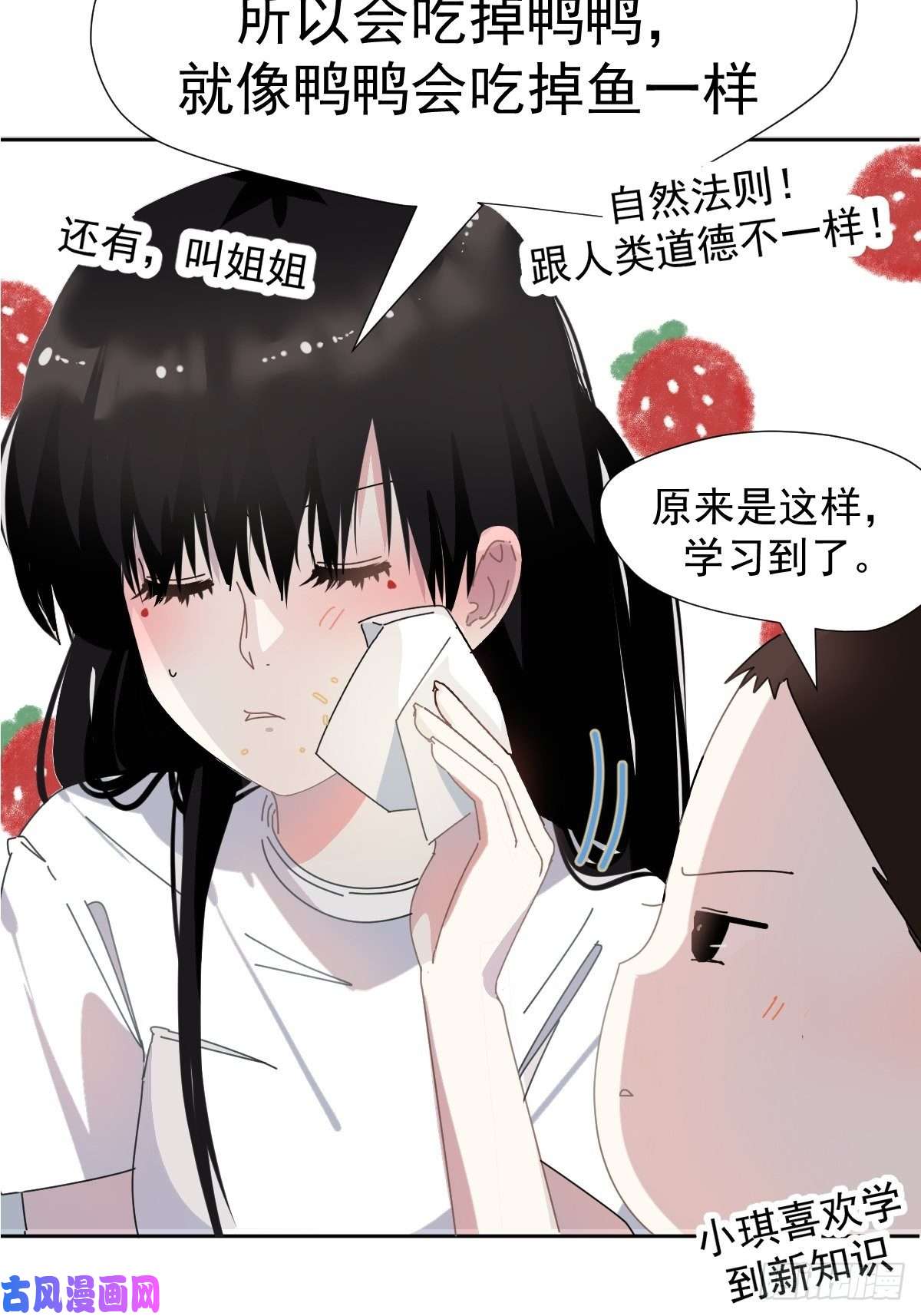 黑背信天翁跟书上说的根本不一样