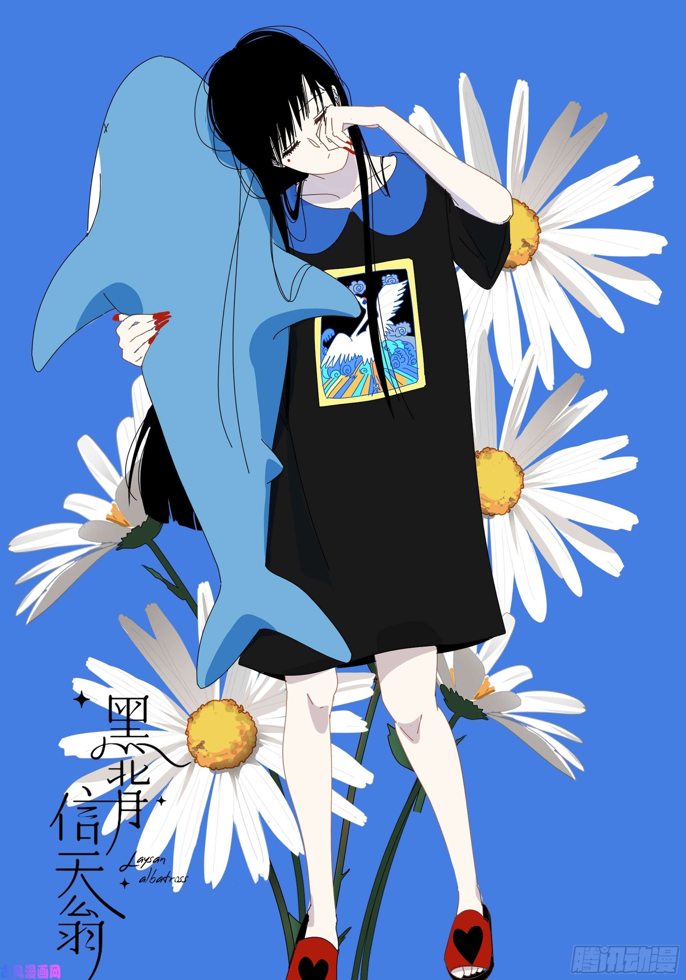 黑背信天翁我相信这是一种缘分