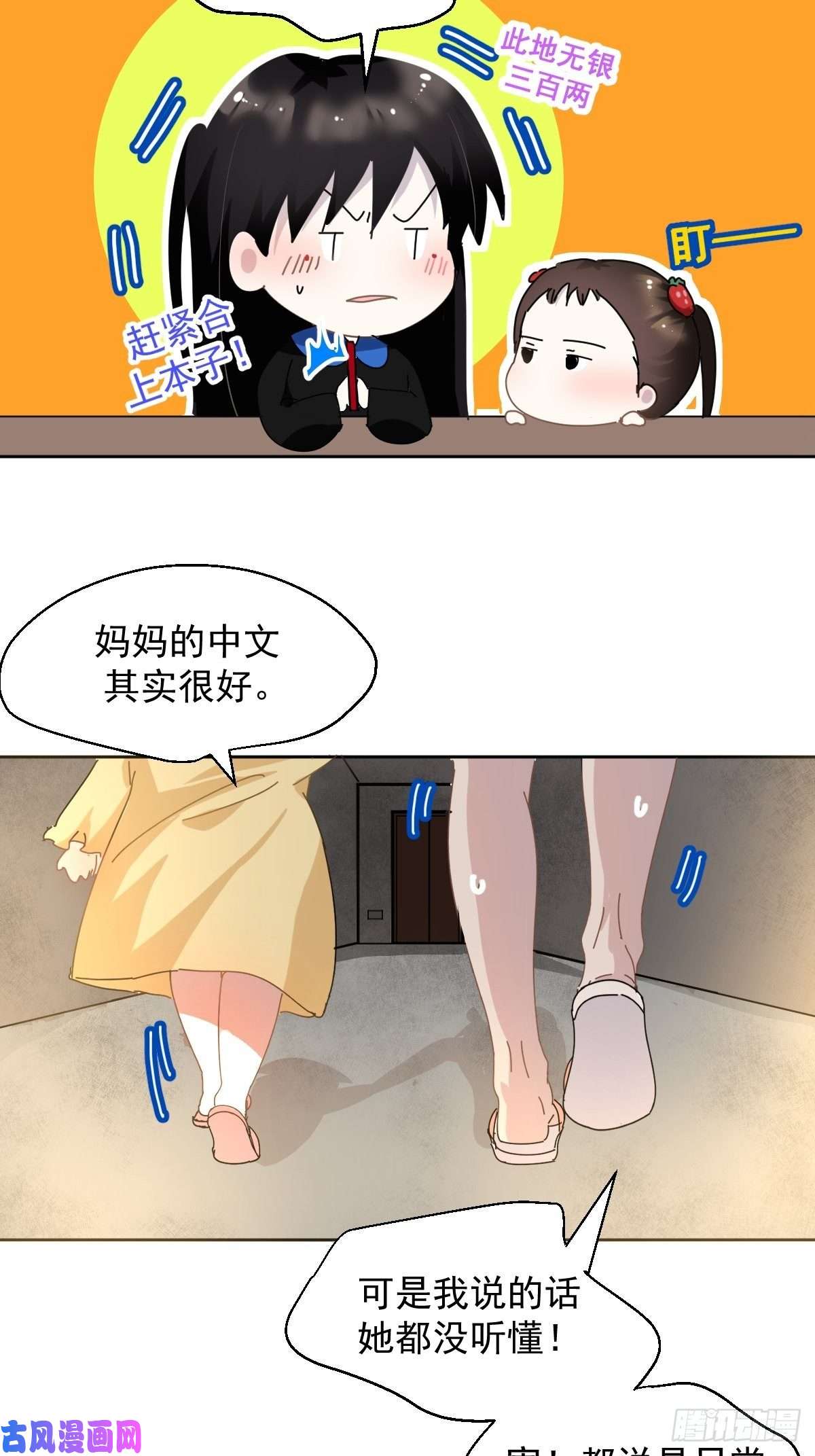 黑背信天翁我相信这是一种缘分