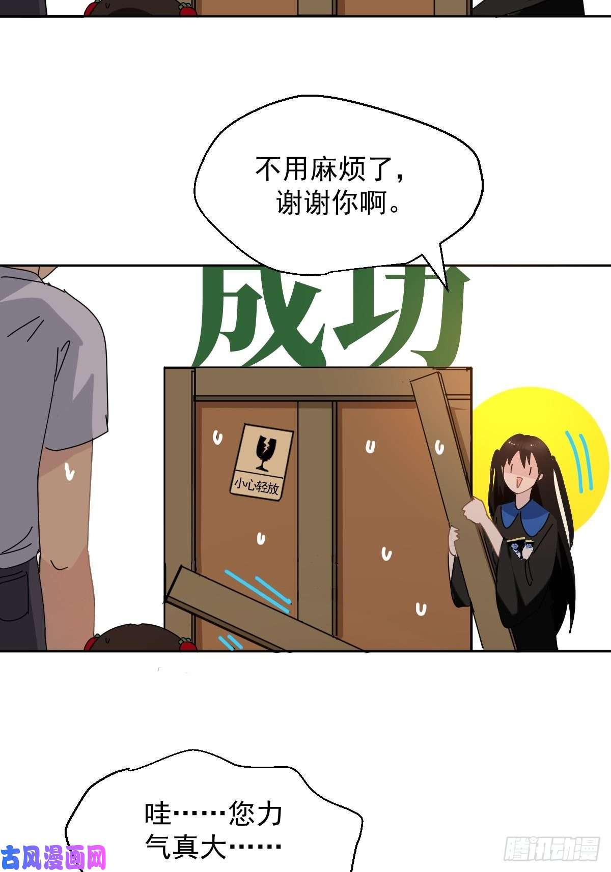 黑背信天翁我相信这是一种缘分