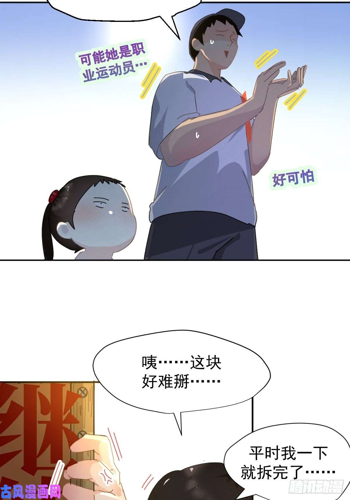 黑背信天翁我相信这是一种缘分