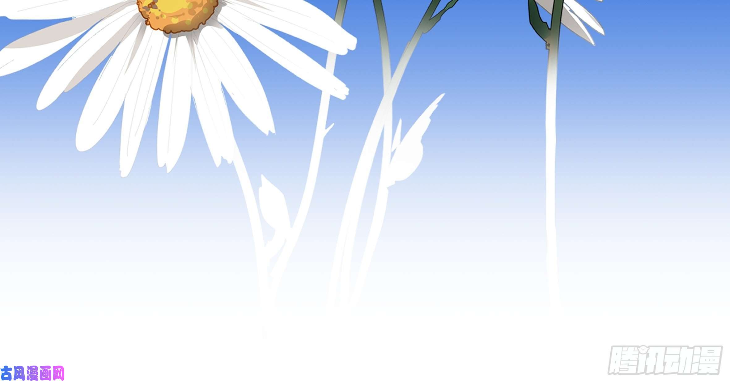 黑背信天翁我相信这是一种缘分