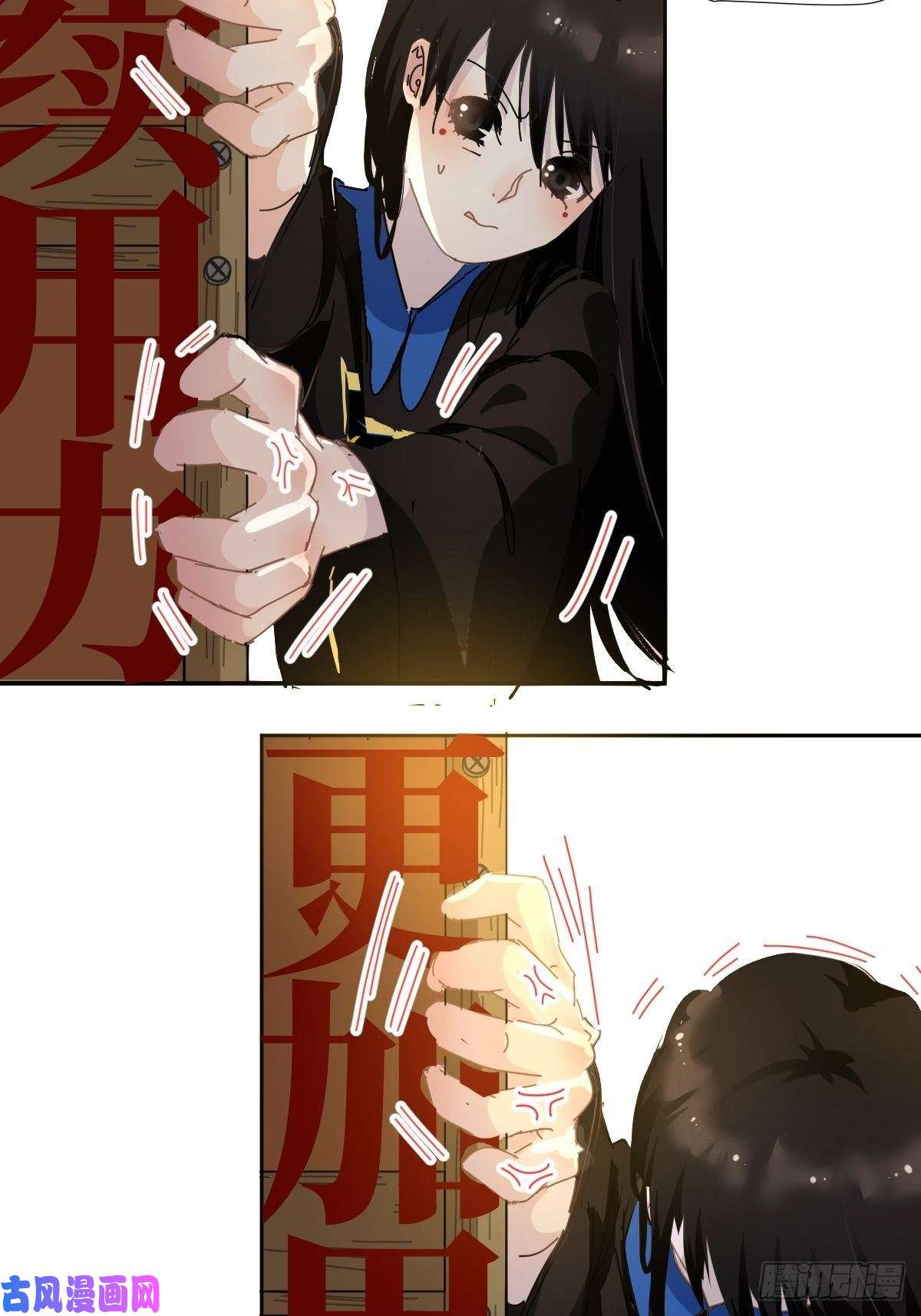 黑背信天翁我相信这是一种缘分