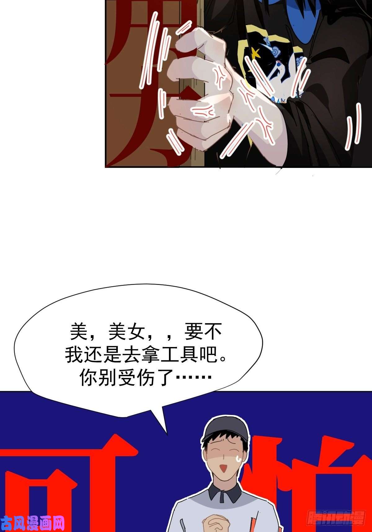 黑背信天翁我相信这是一种缘分