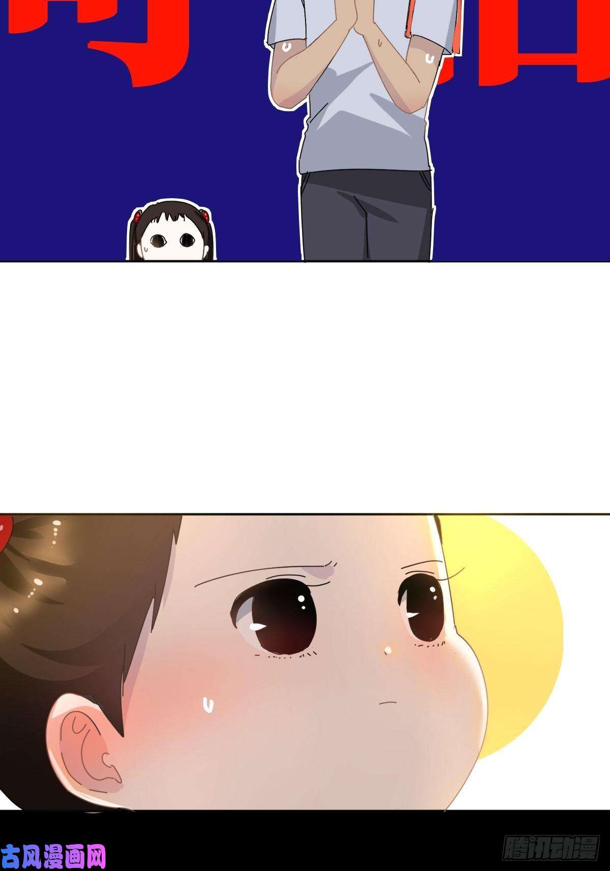 黑背信天翁我相信这是一种缘分