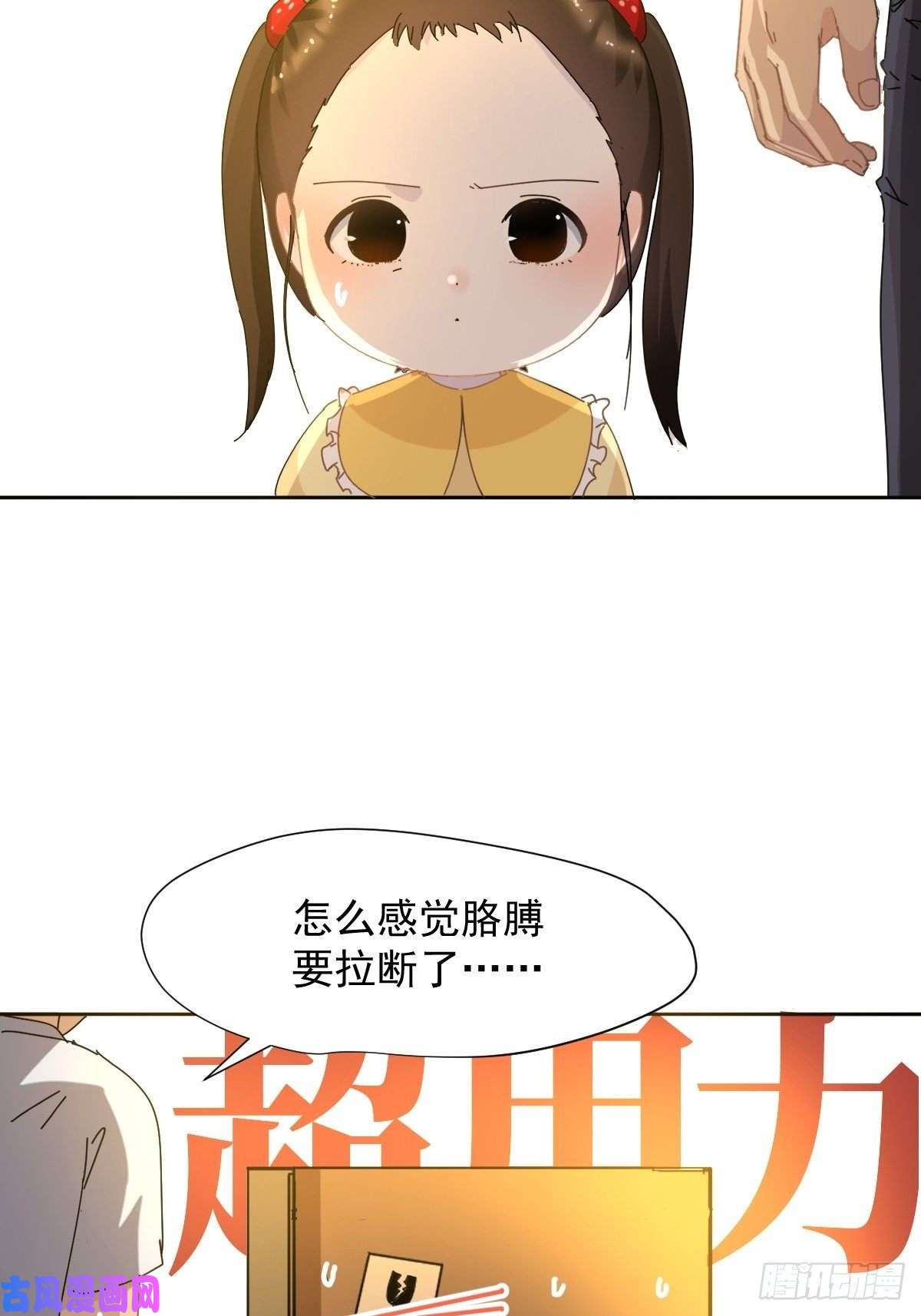 黑背信天翁我相信这是一种缘分