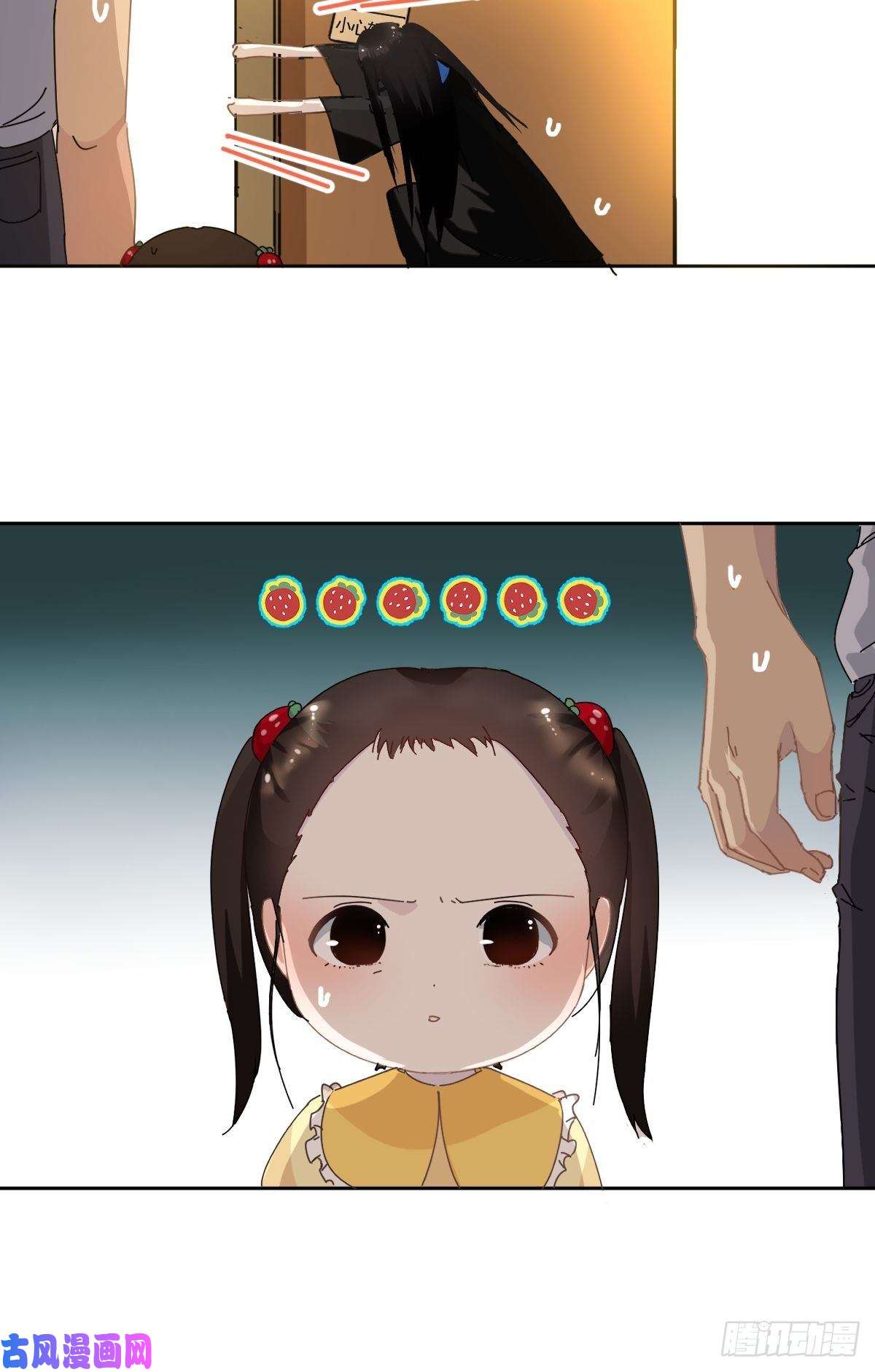 黑背信天翁我相信这是一种缘分