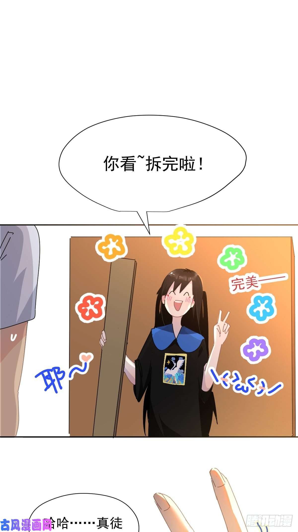 黑背信天翁我相信这是一种缘分