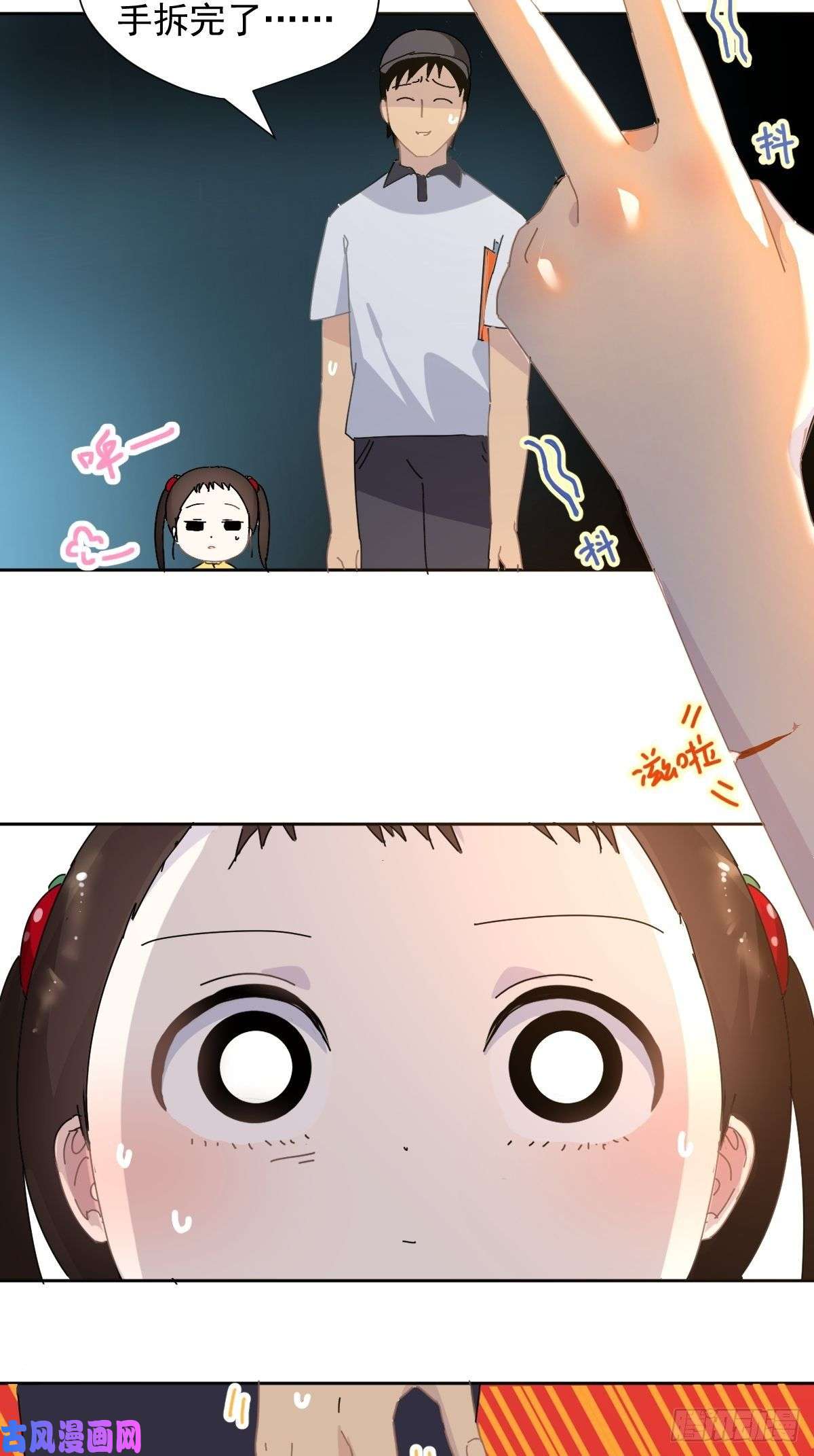 黑背信天翁我相信这是一种缘分