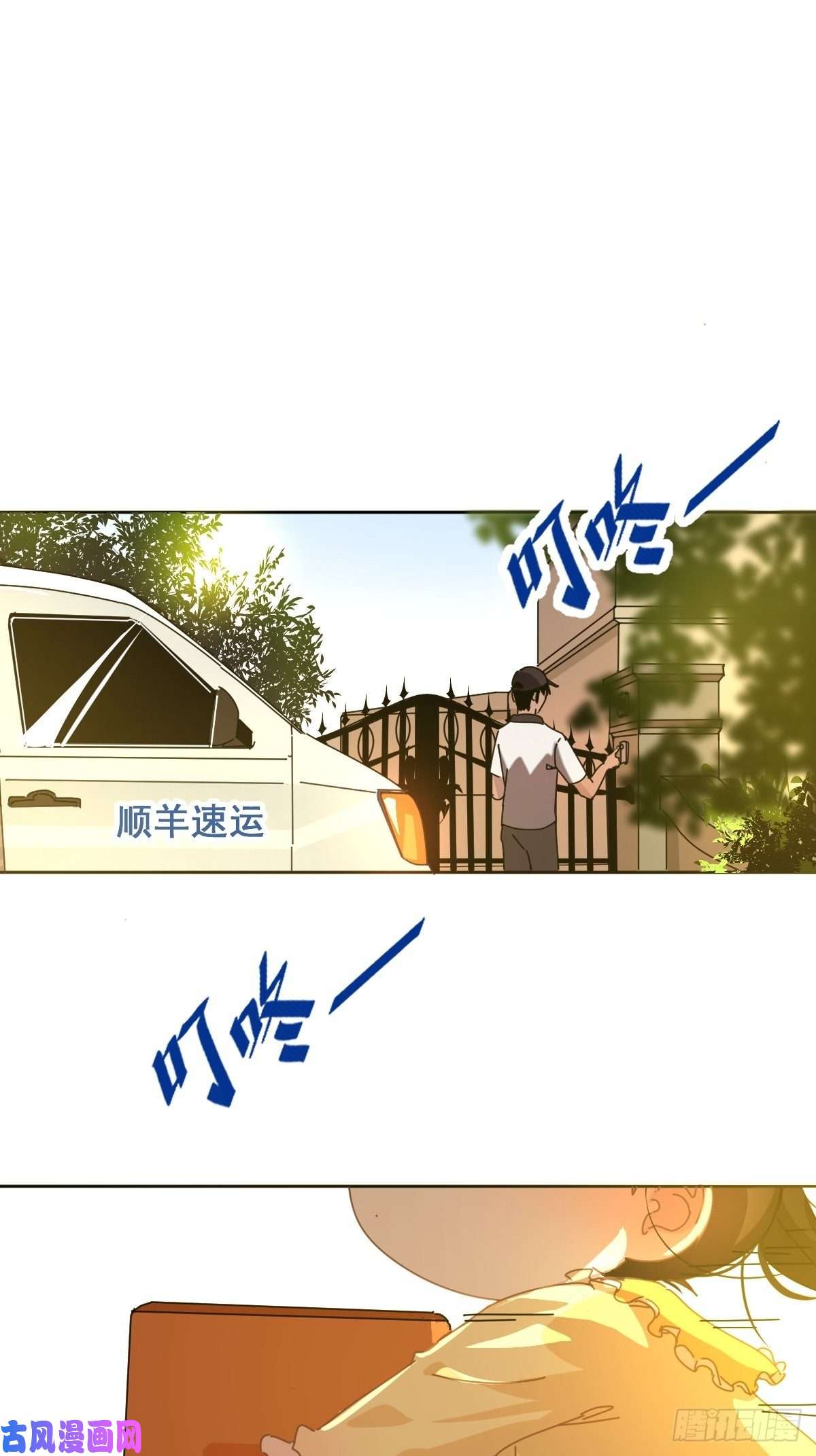 黑背信天翁我相信这是一种缘分