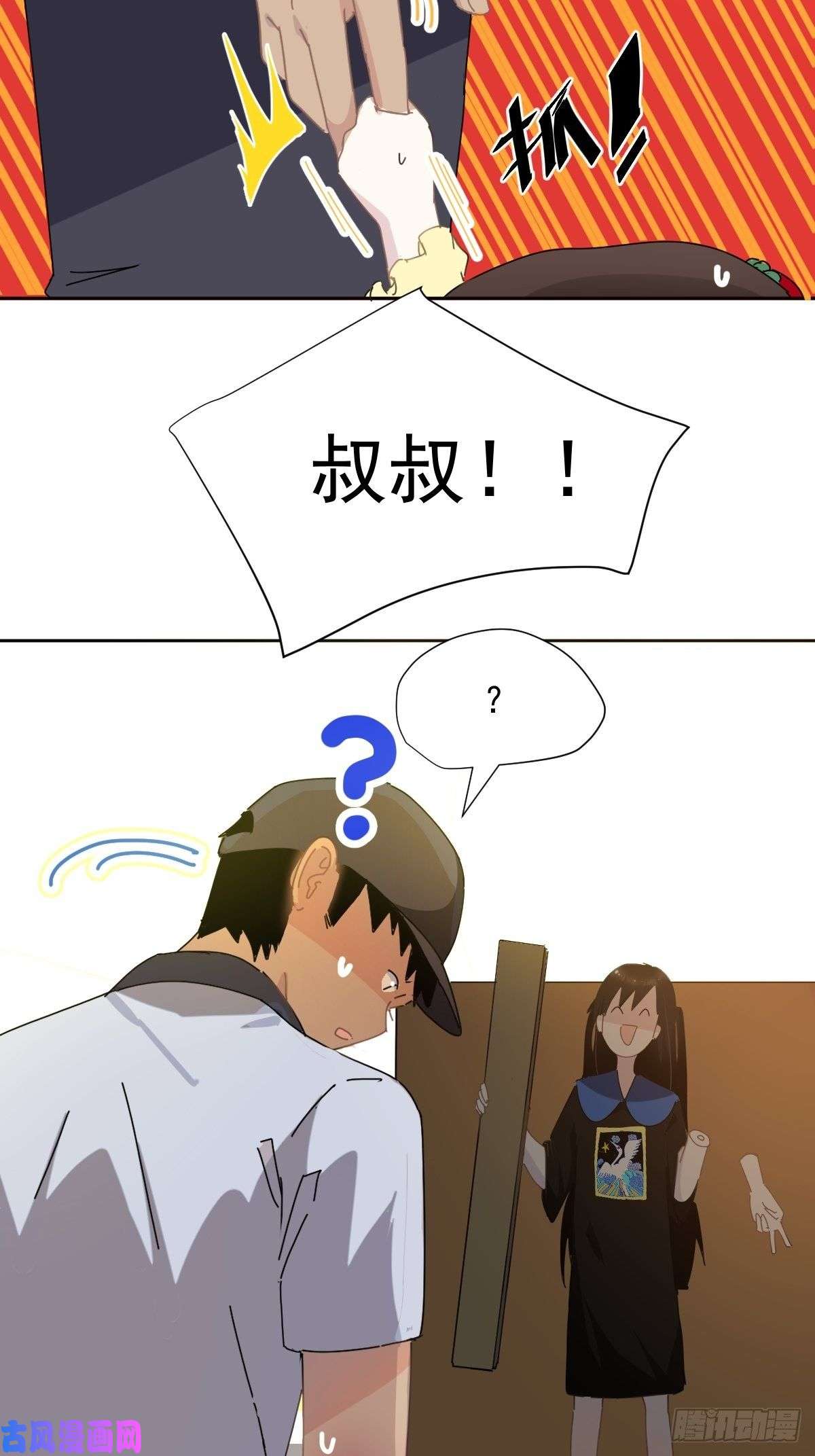 黑背信天翁我相信这是一种缘分