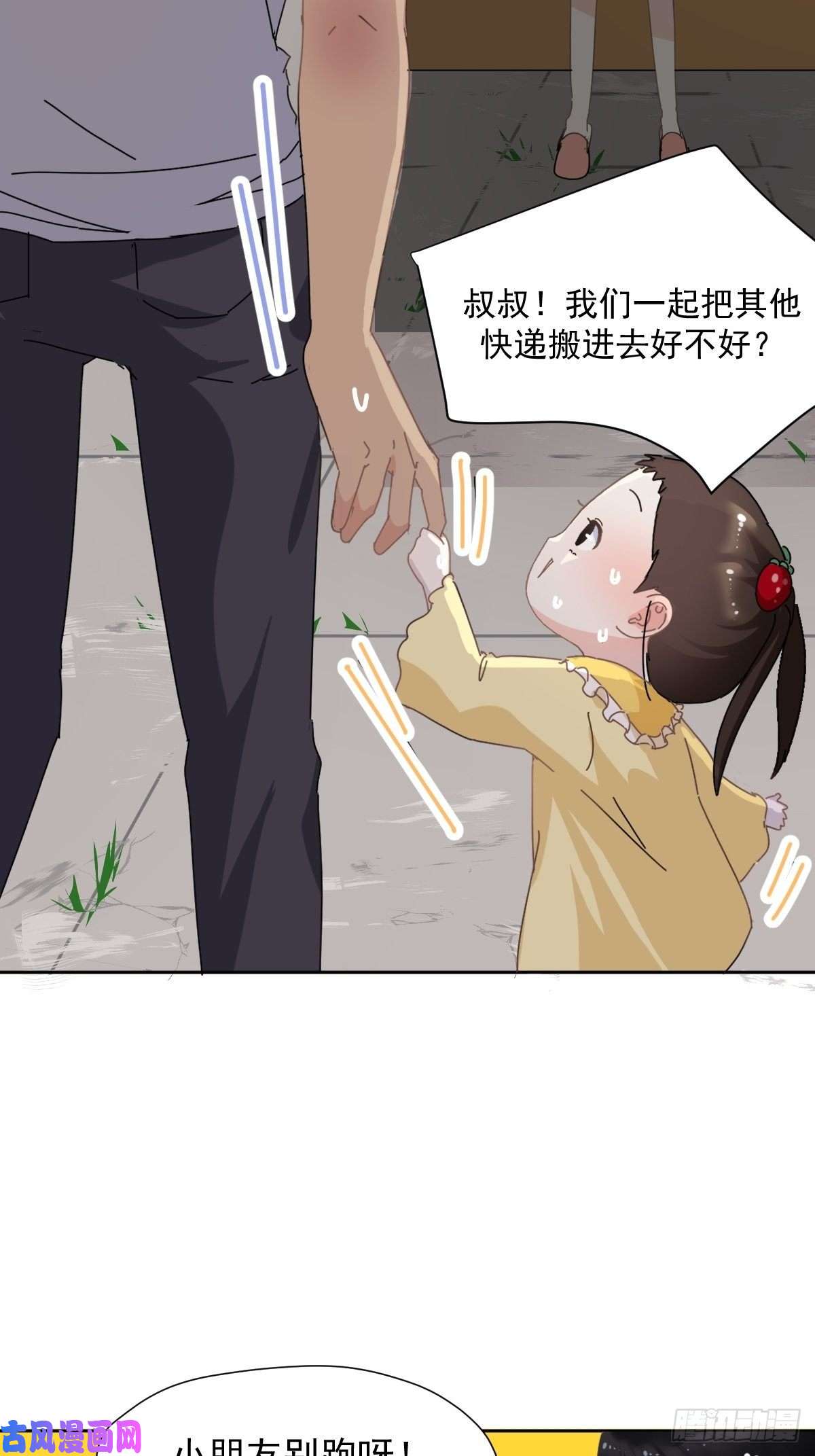 黑背信天翁我相信这是一种缘分