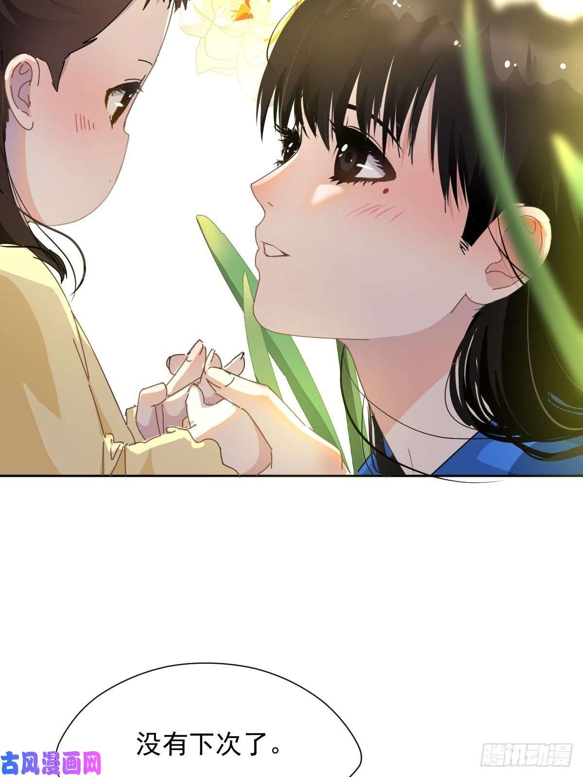 黑背信天翁我相信这是一种缘分