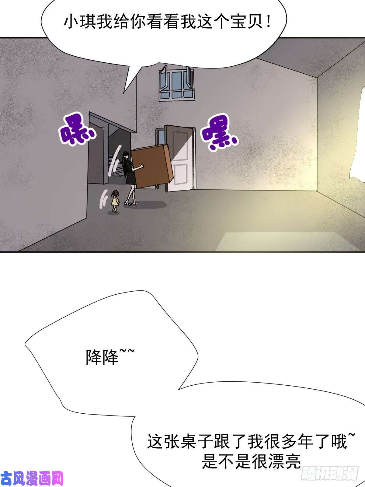 黑背信天翁我相信这是一种缘分